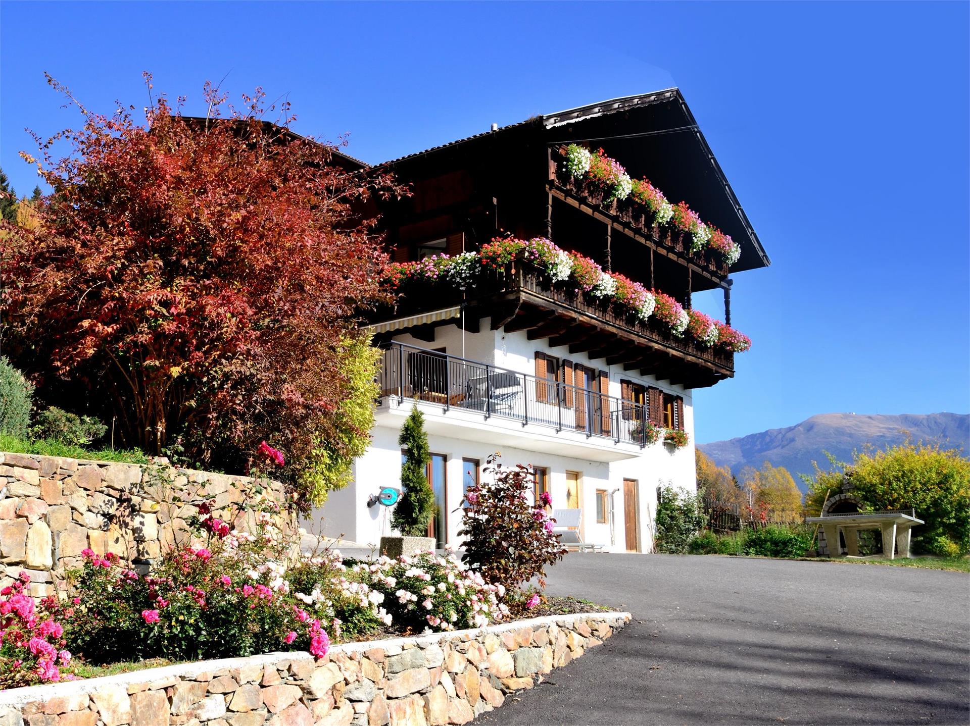 Wegscheiderhof Bressanone 1 suedtirol.info