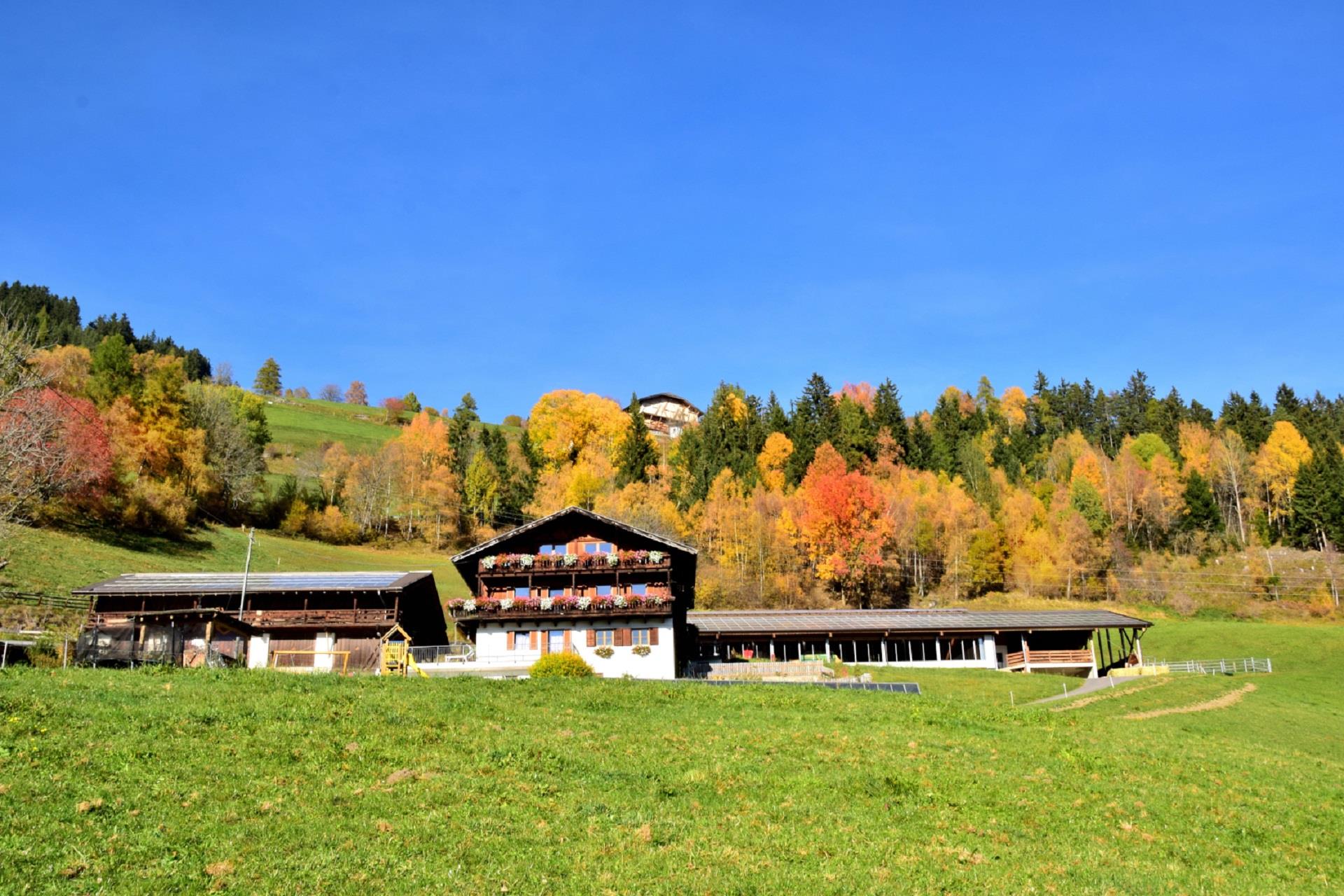 Wegscheiderhof Bressanone 2 suedtirol.info