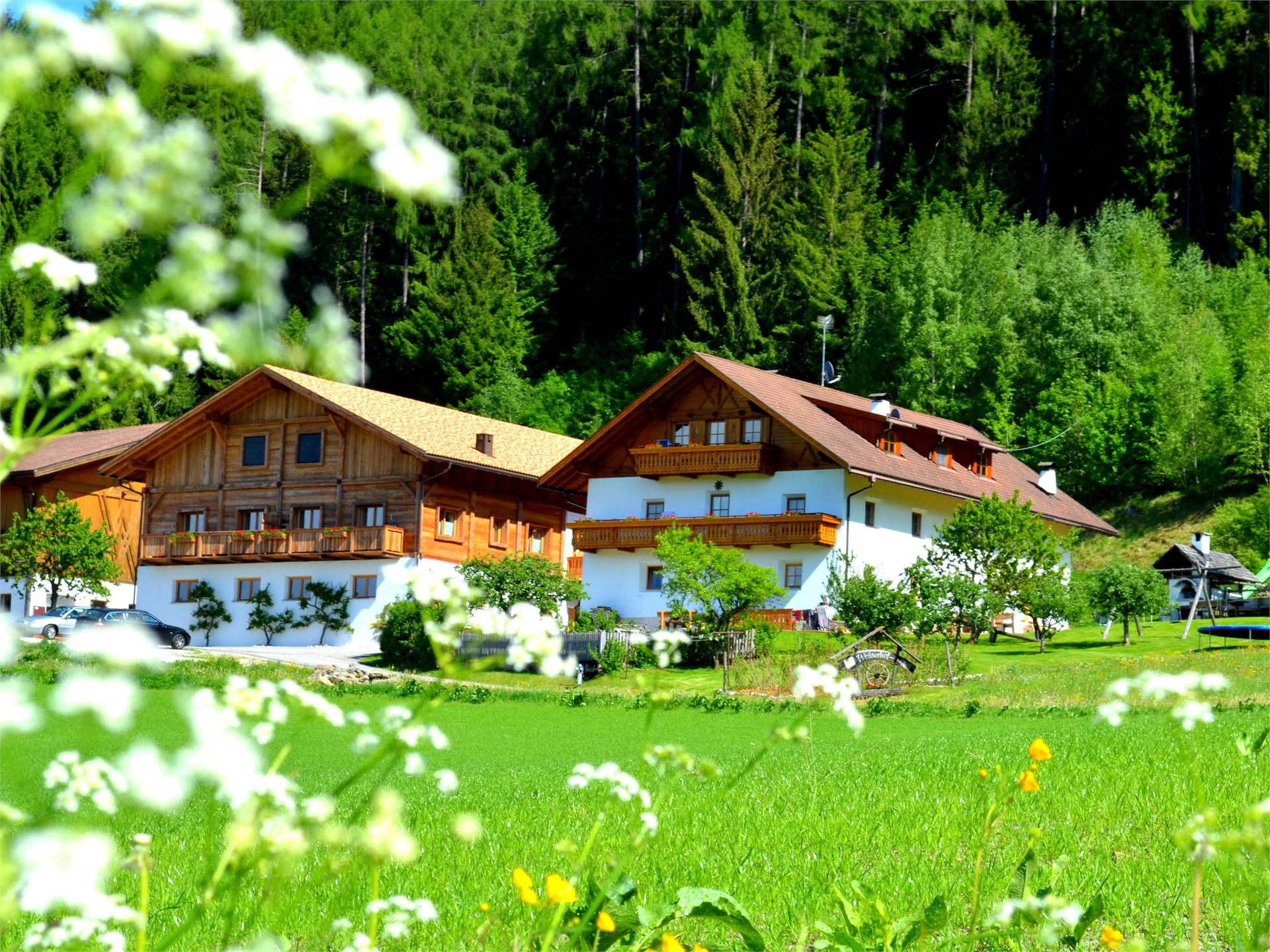 Weliserhof San Lorenzo di Sebato 1 suedtirol.info