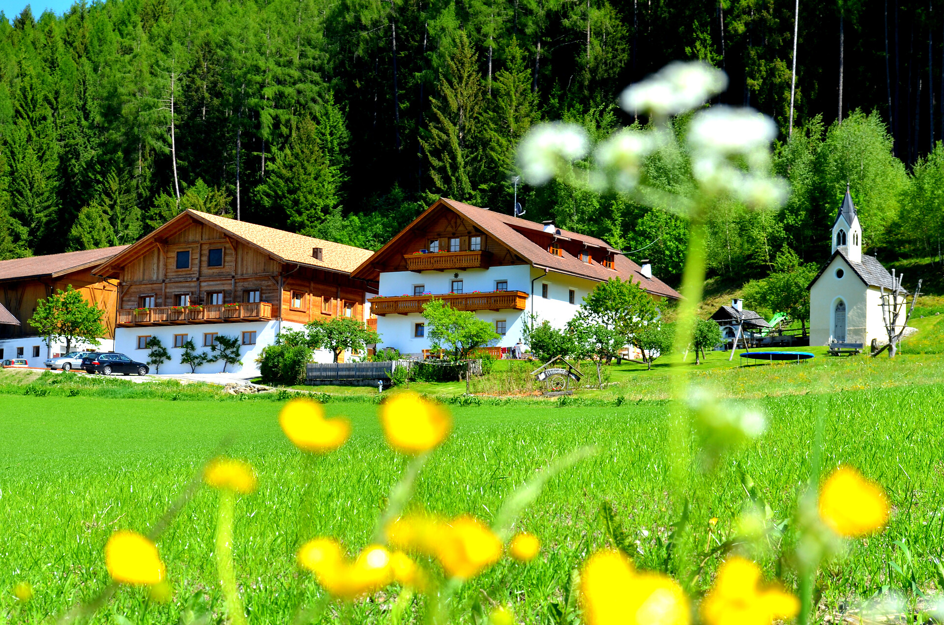 Weliserhof