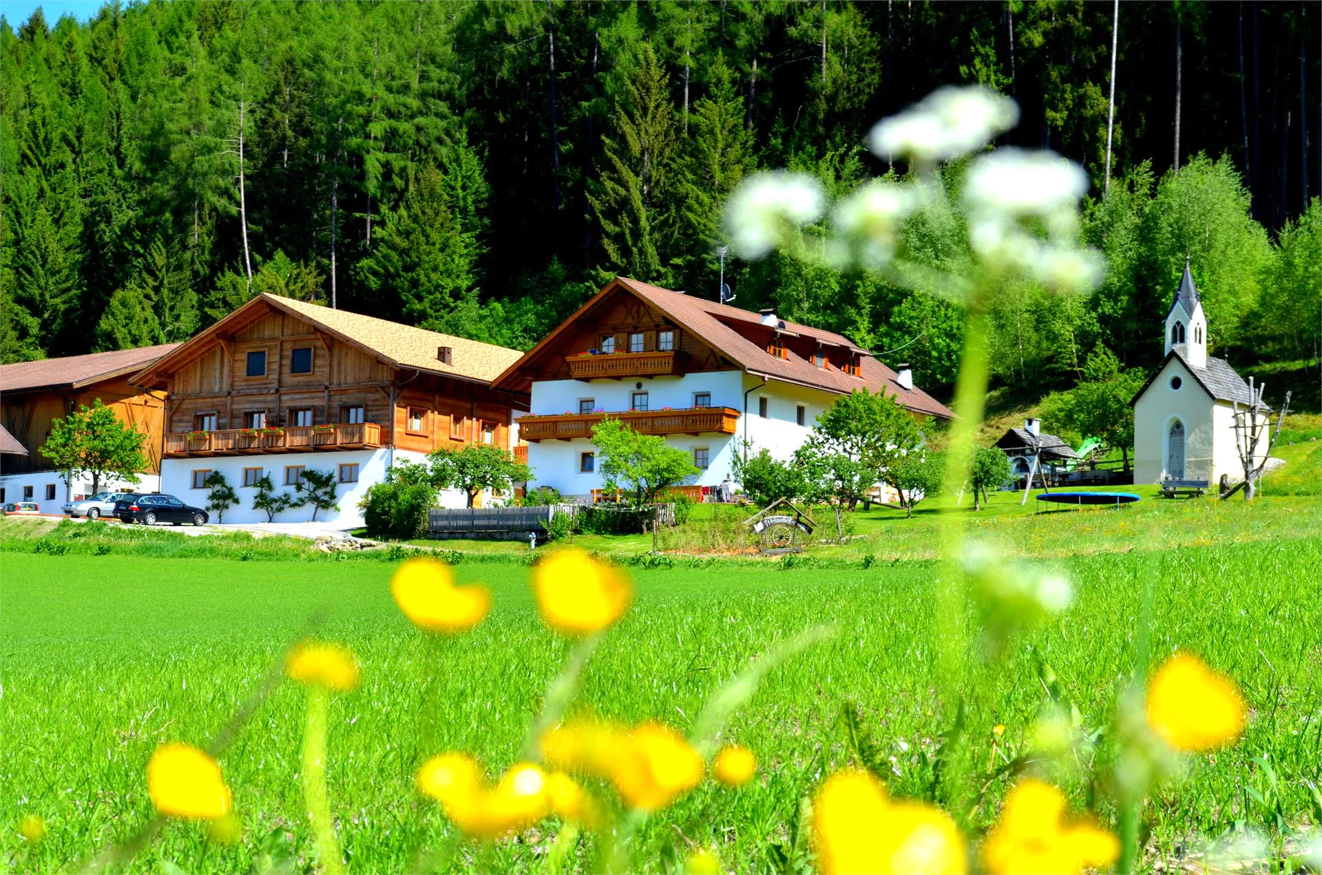 Weliserhof San Lorenzo di Sebato 4 suedtirol.info
