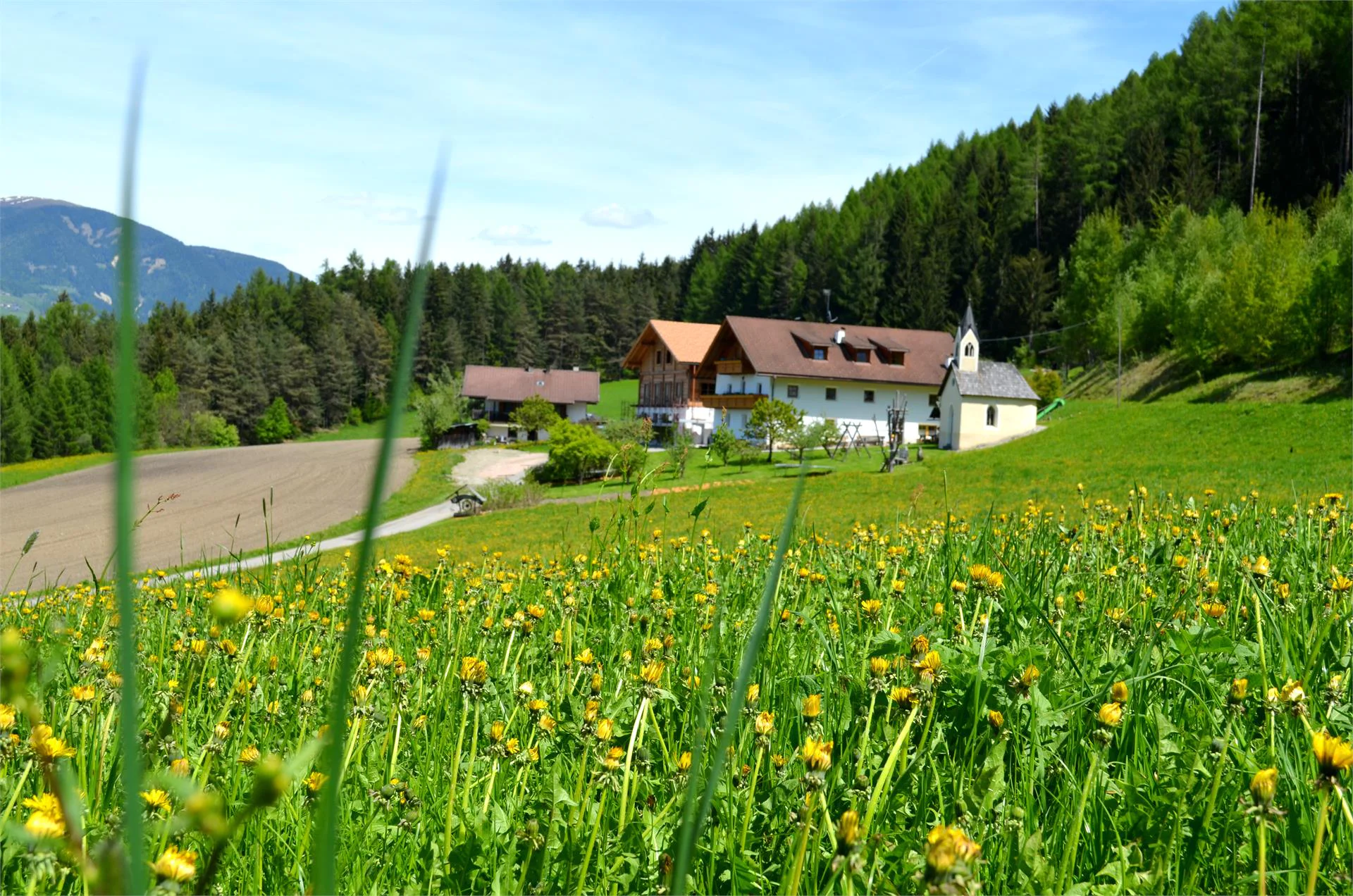 Weliserhof San Lorenzo di Sebato 3 suedtirol.info