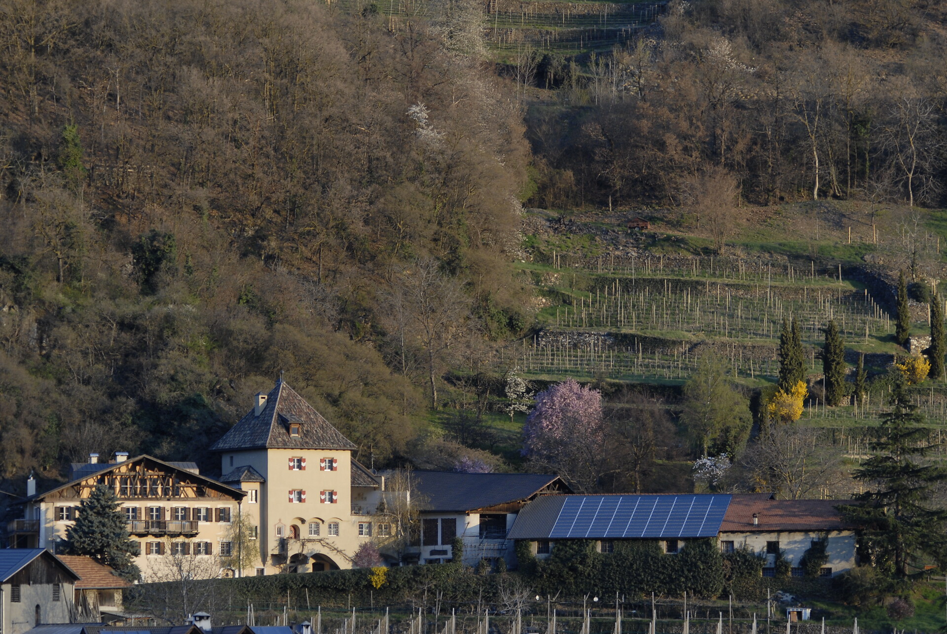 Köfelgut