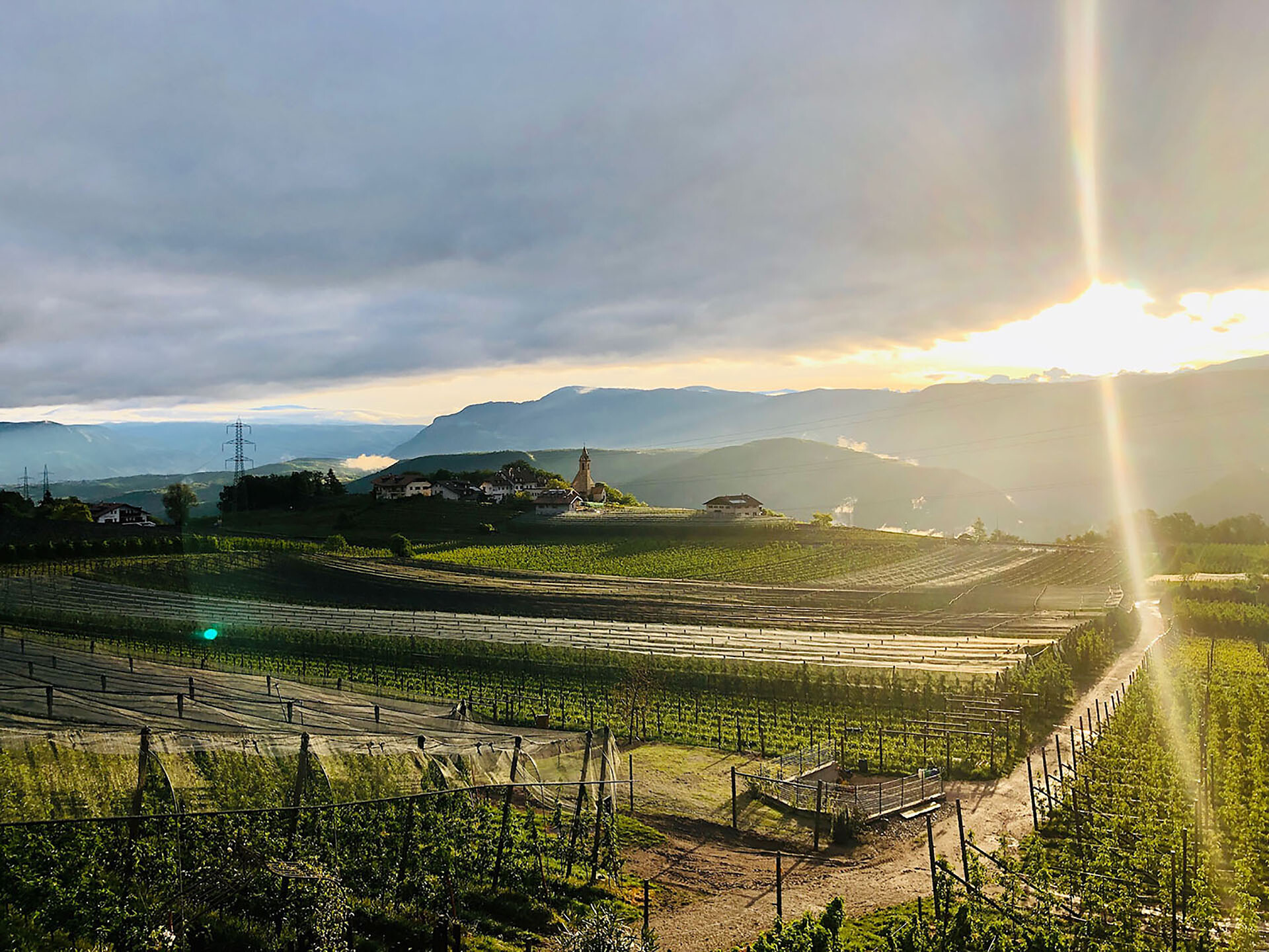 View