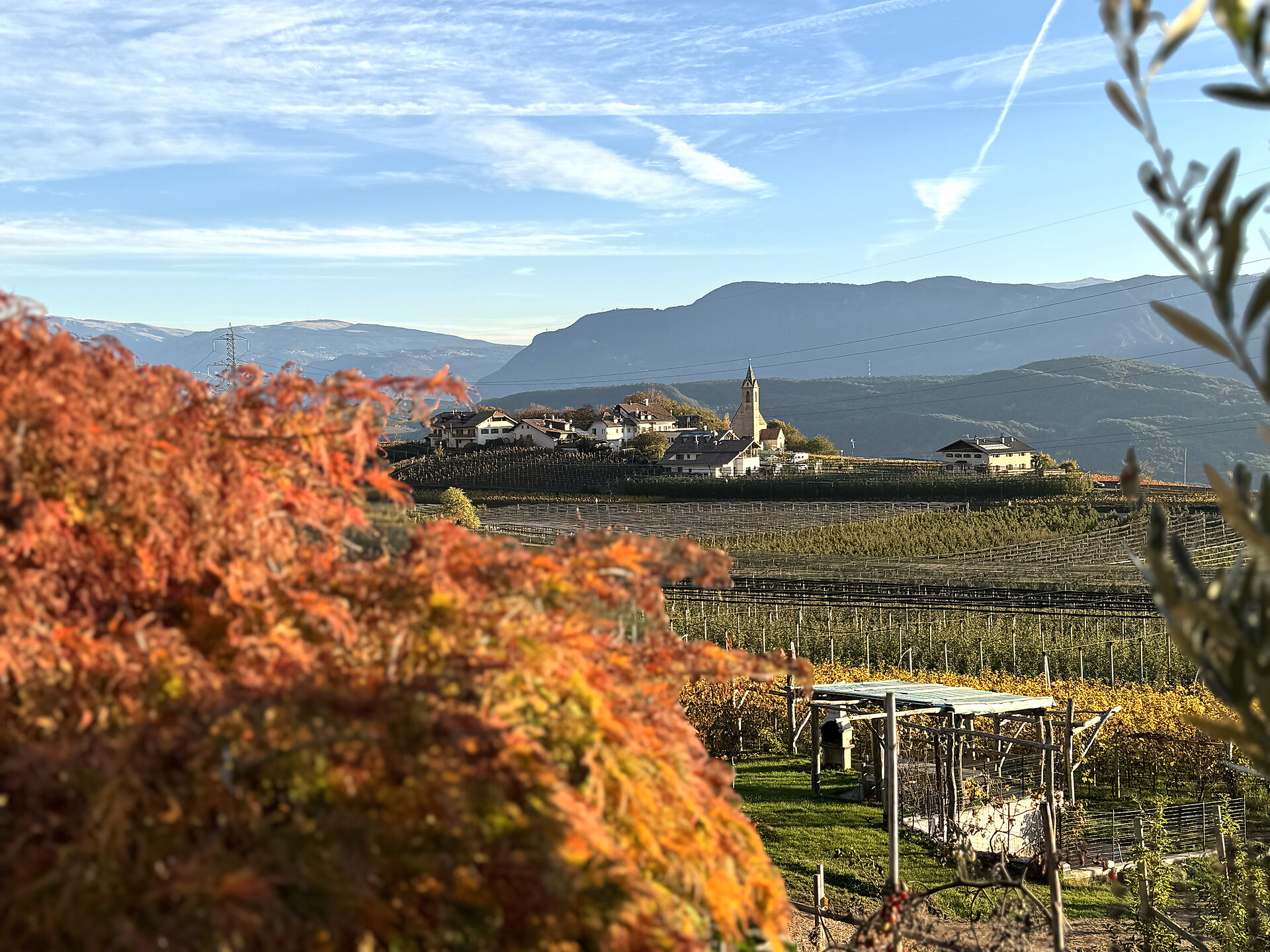 View Altenburg