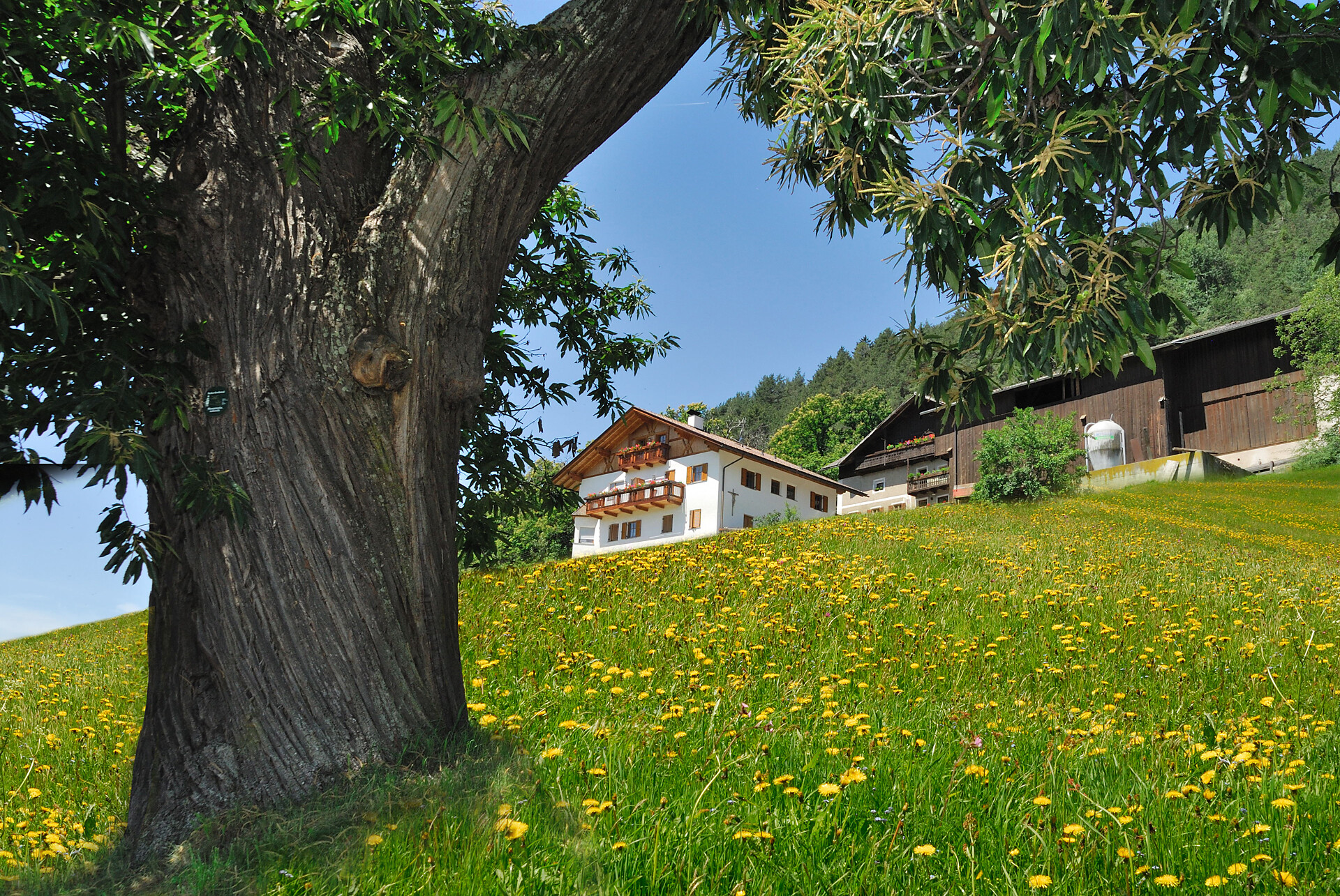 Wöhrmannhof