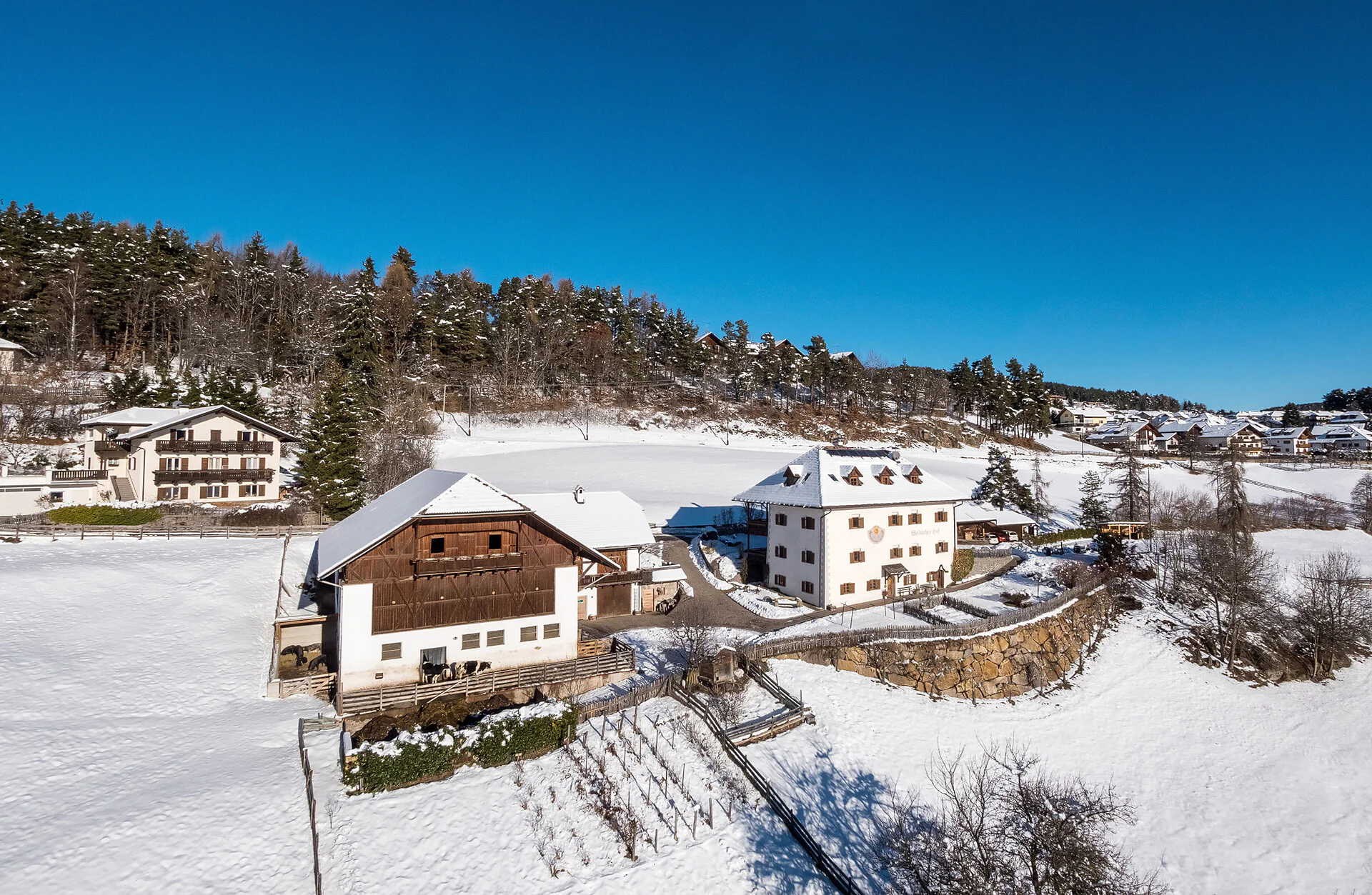 Weidacherhof Renon 1 suedtirol.info