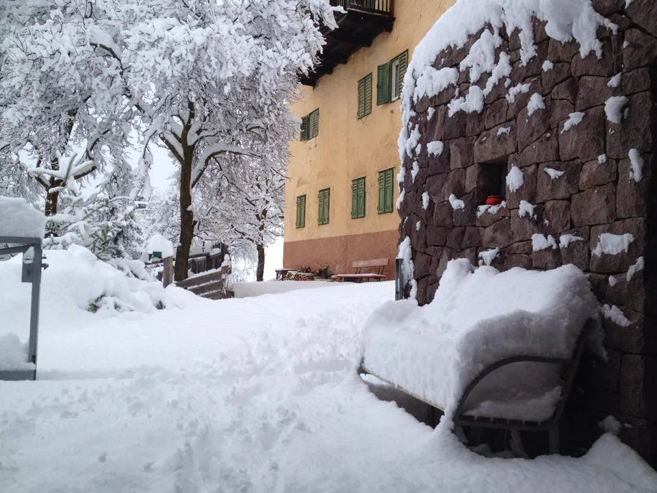 Wieserhof Renon 3 suedtirol.info