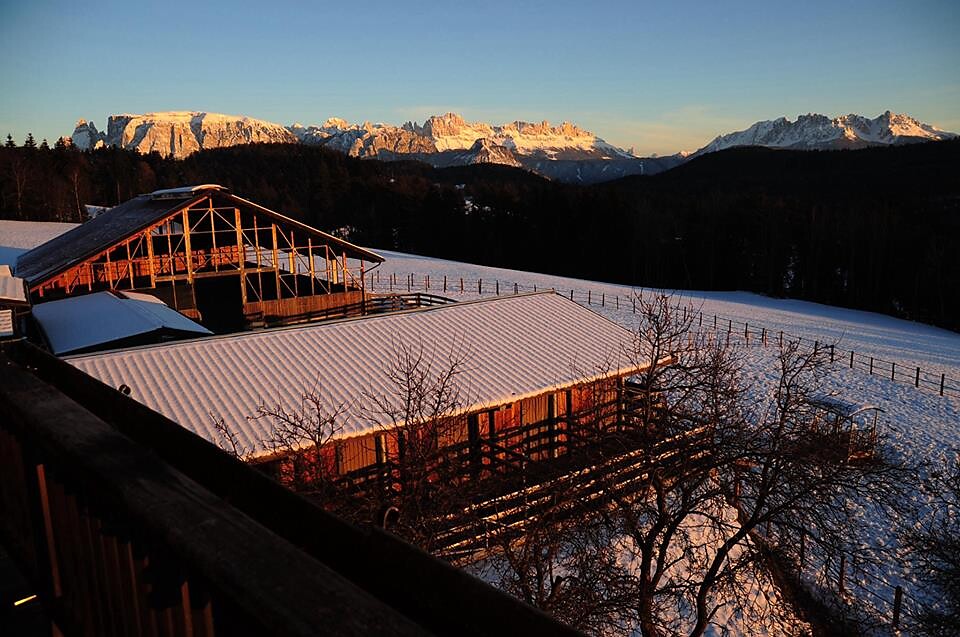 Wieserhof Ritten 4 suedtirol.info