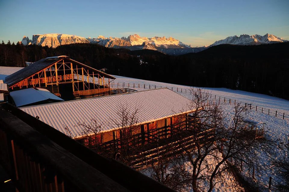 Wieserhof Renon 4 suedtirol.info