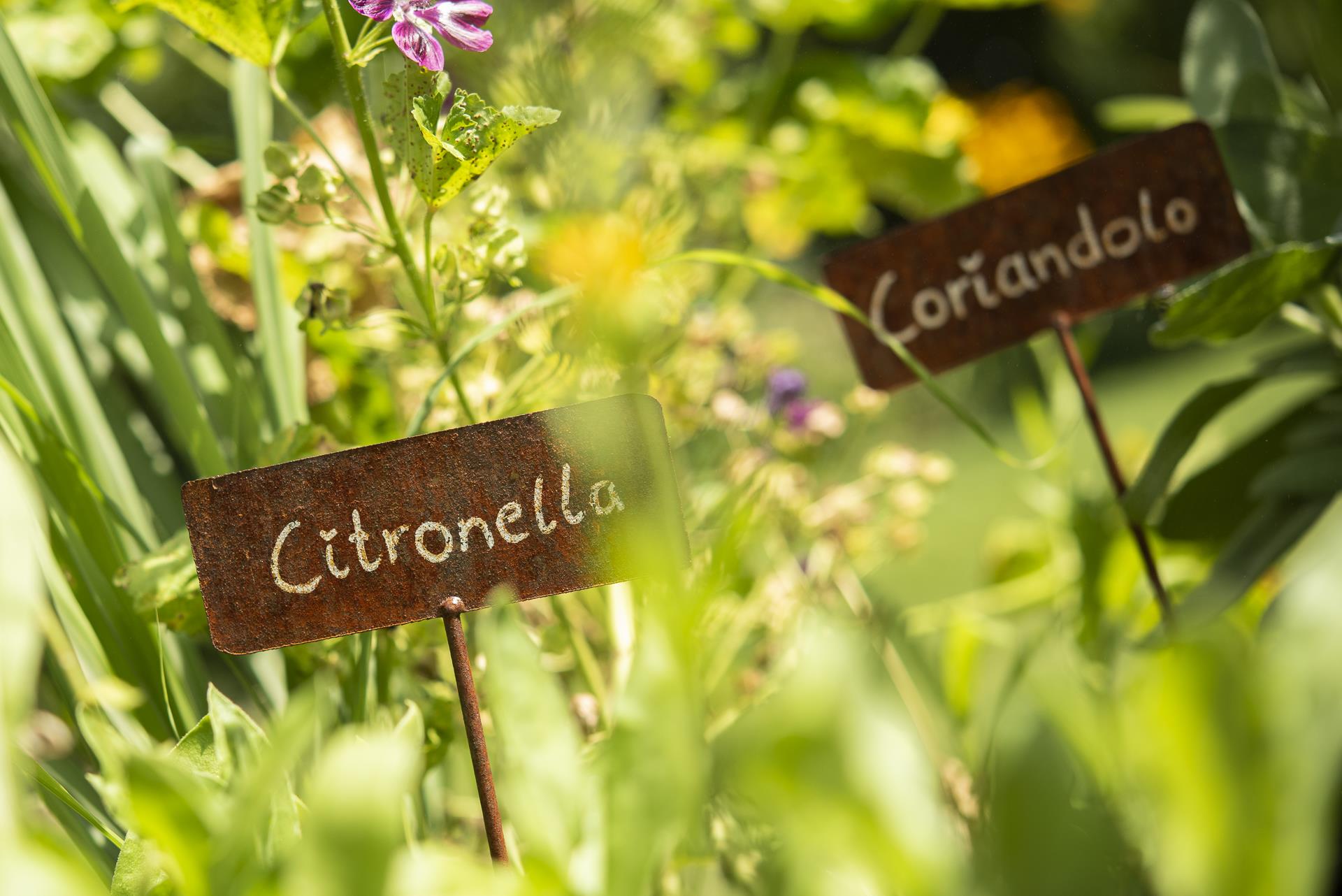 WEINGUT SCHMID OBERRAUTNER Bozen 5 suedtirol.info