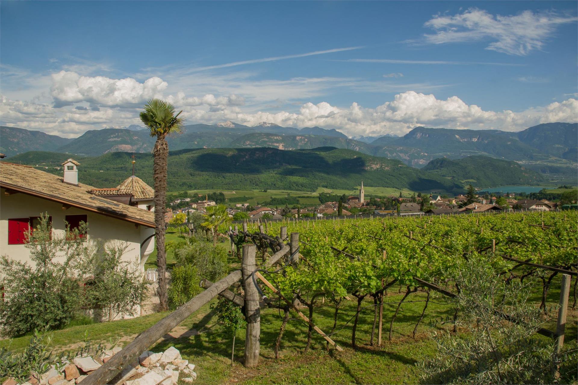 Weingut Wastlhof Kaltern an der Weinstraße 28 suedtirol.info