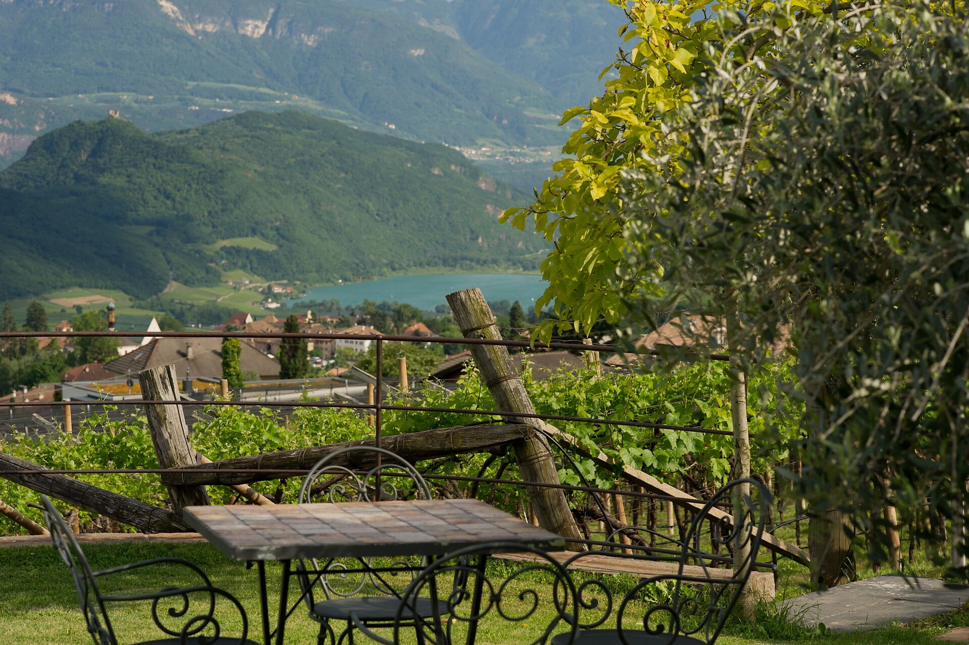 Winery Wastlhof in Caldaro/Kaltern