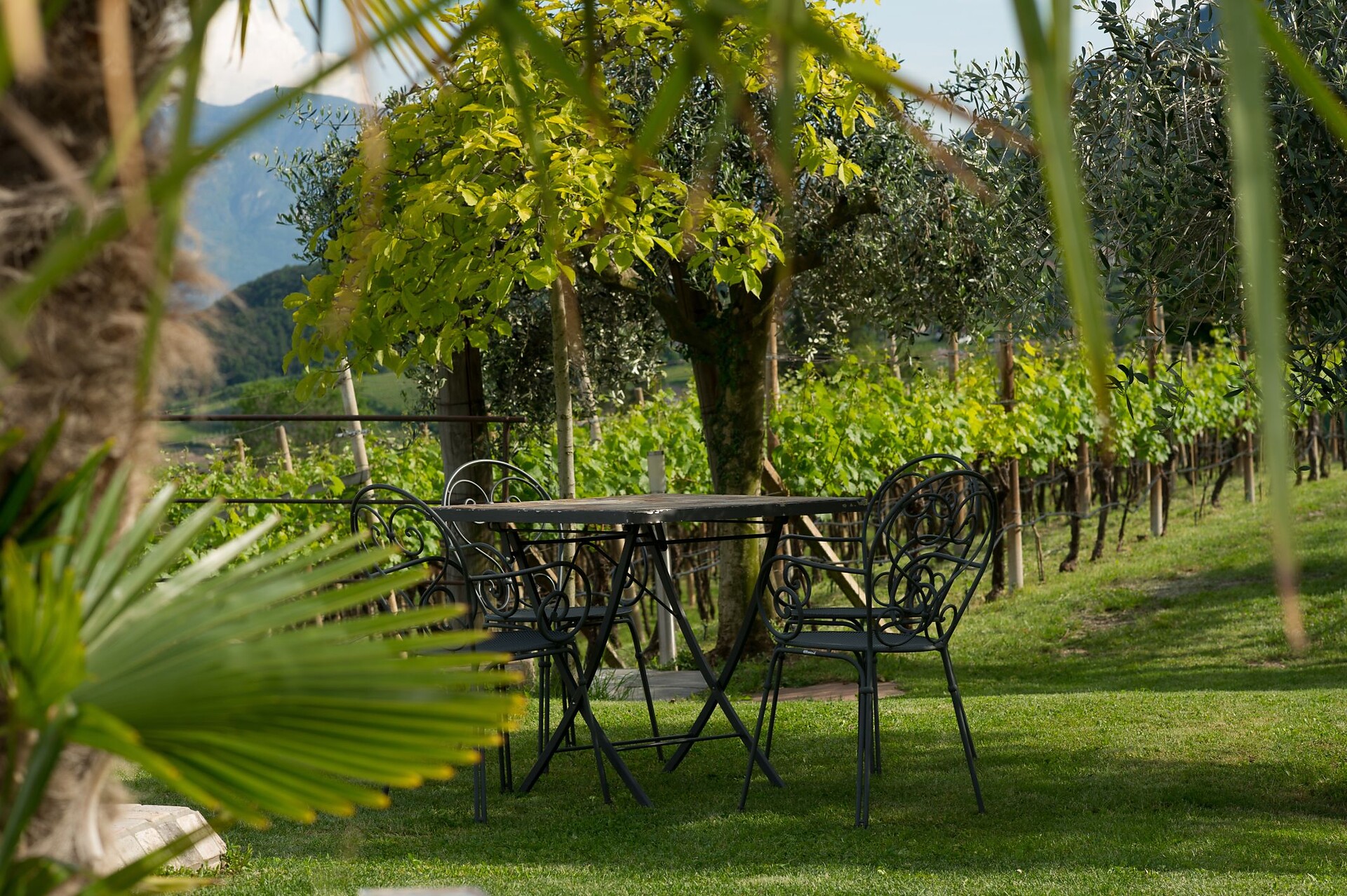 Winery Wastlhof in Caldaro/Kaltern