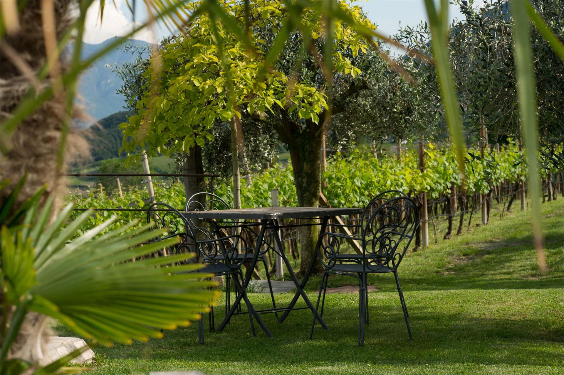 Weingut Wastlhof Kaltern an der Weinstraße 22 suedtirol.info