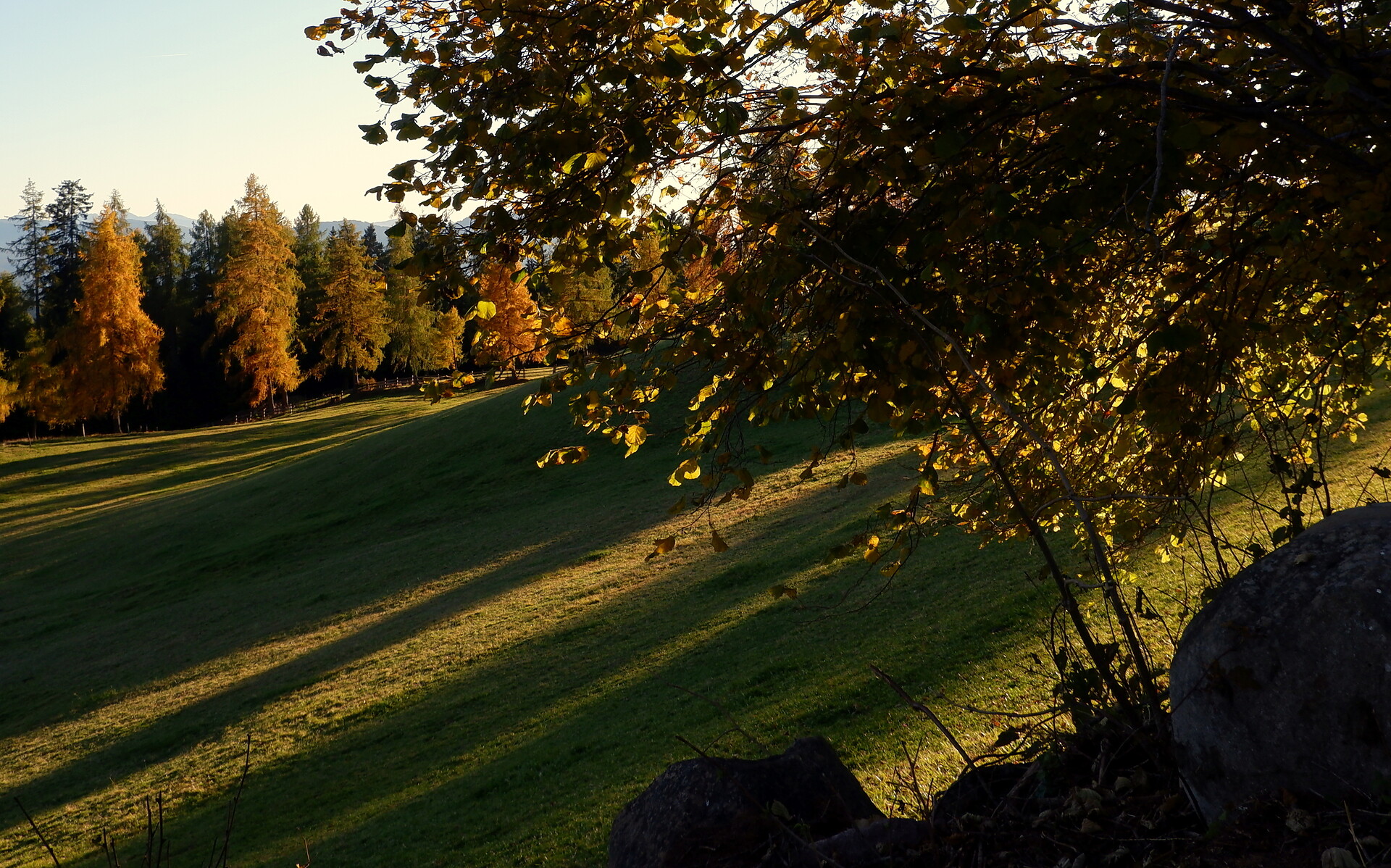 Nature