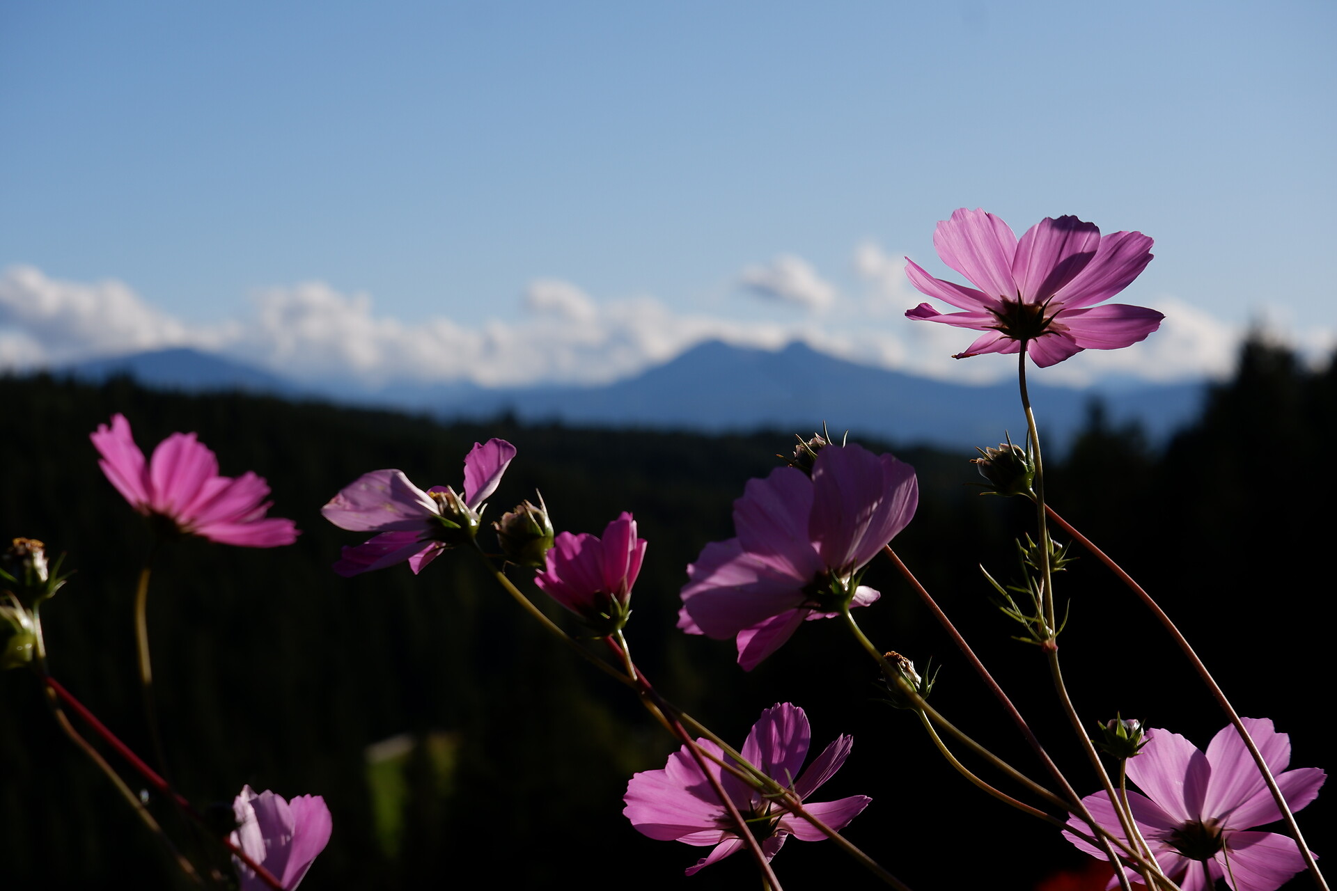 Mountains