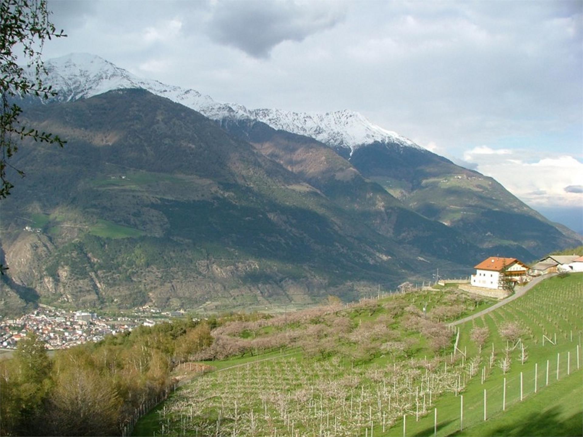 Wiebenhof Schlanders 5 suedtirol.info