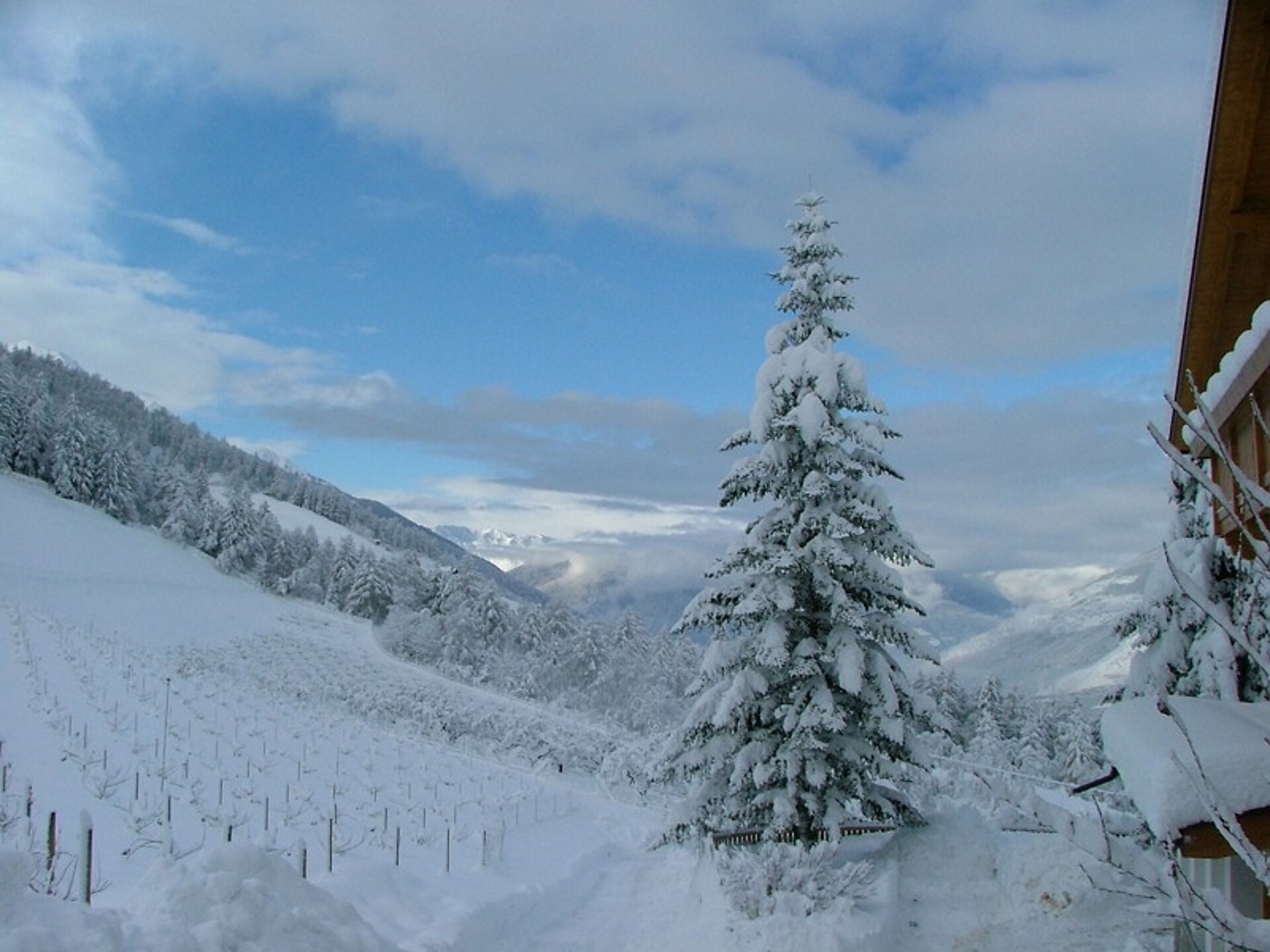 Winter at Wiebenhof