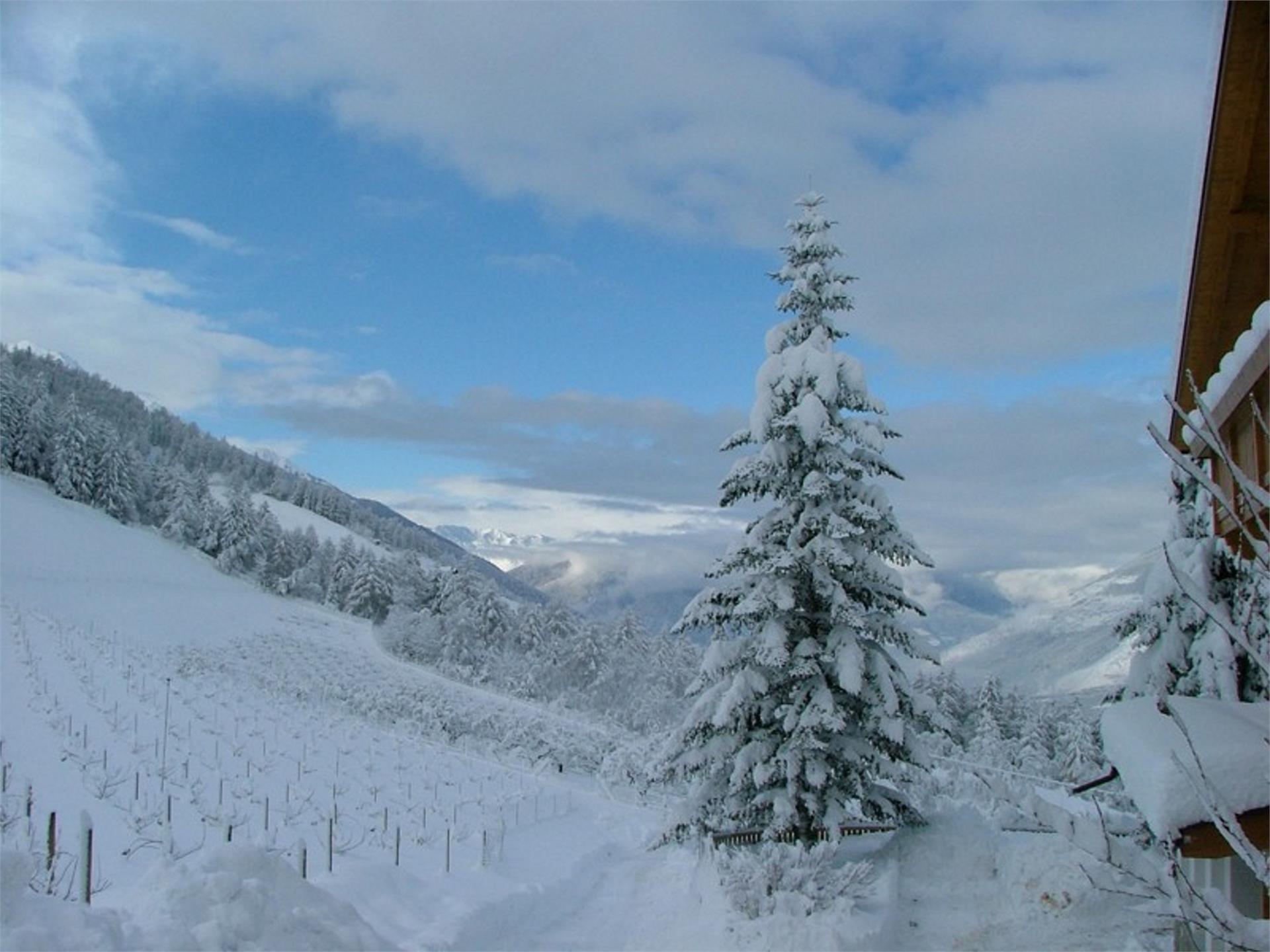 Wiebenhof Schlanders 7 suedtirol.info