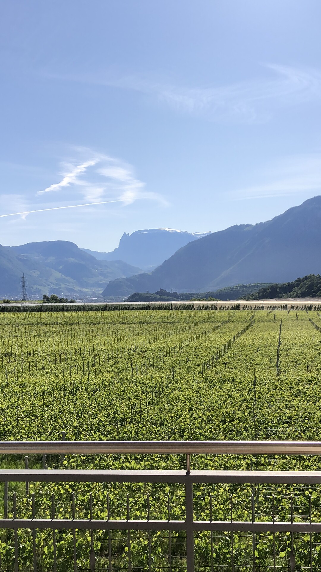 Weger B&B Eppan an der Weinstraße 24 suedtirol.info