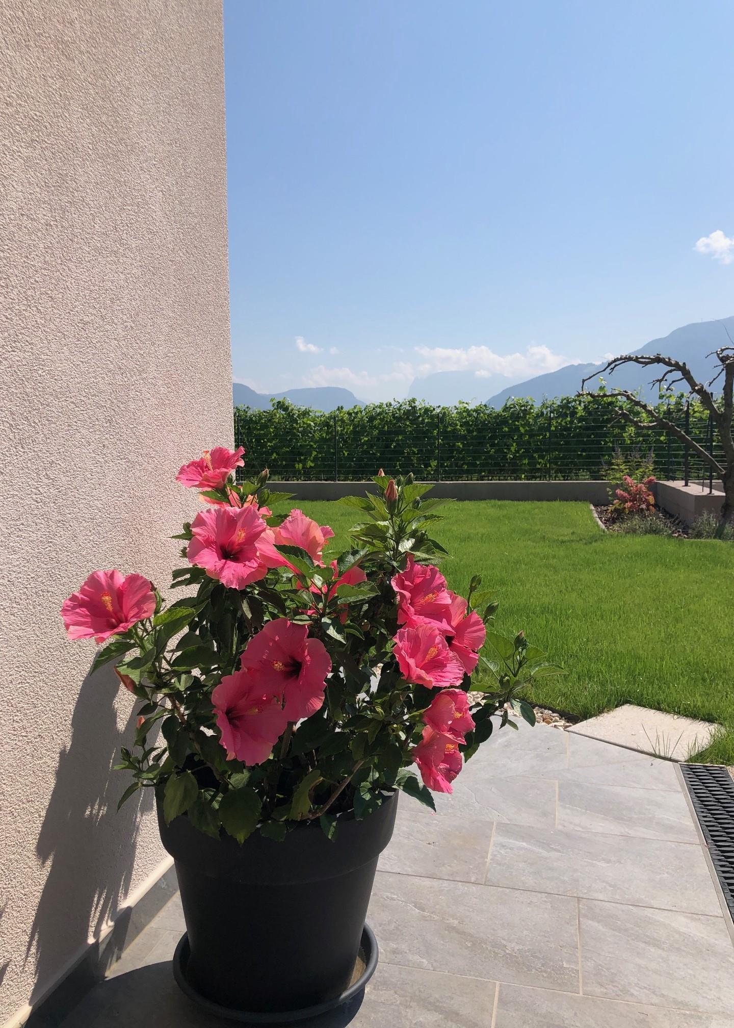 Weger B&B Eppan an der Weinstraße 9 suedtirol.info