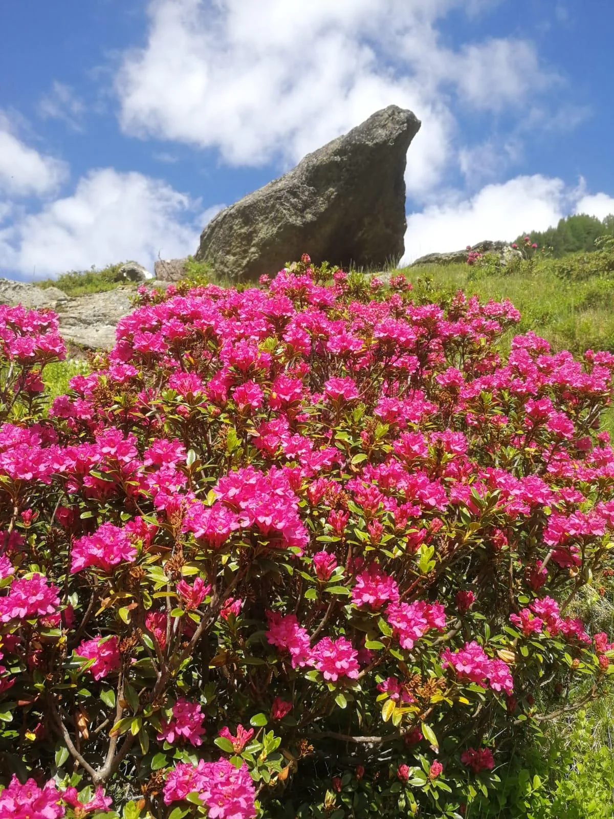 Waldeck Garni Ahrntal/Valle Aurina 4 suedtirol.info