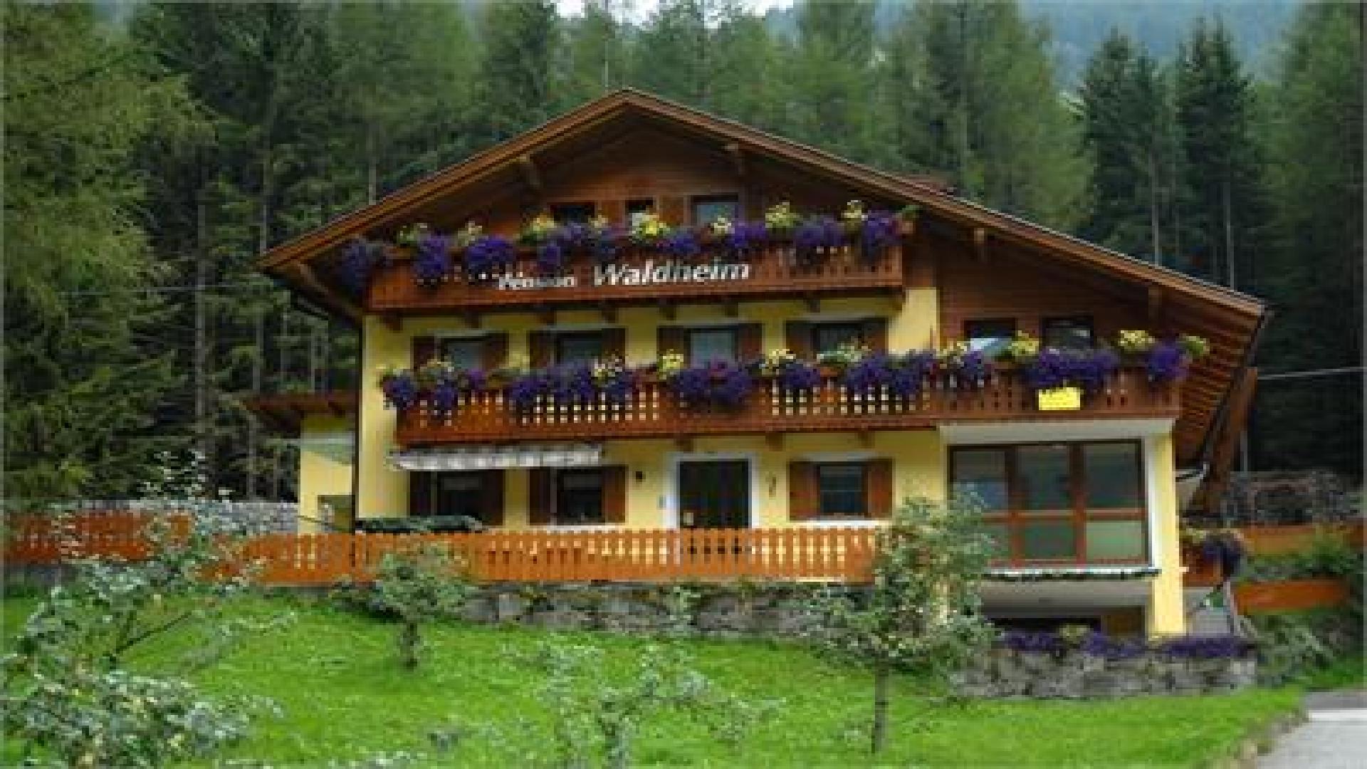Waldheim Pension Ahrntal/Valle Aurina 1 suedtirol.info