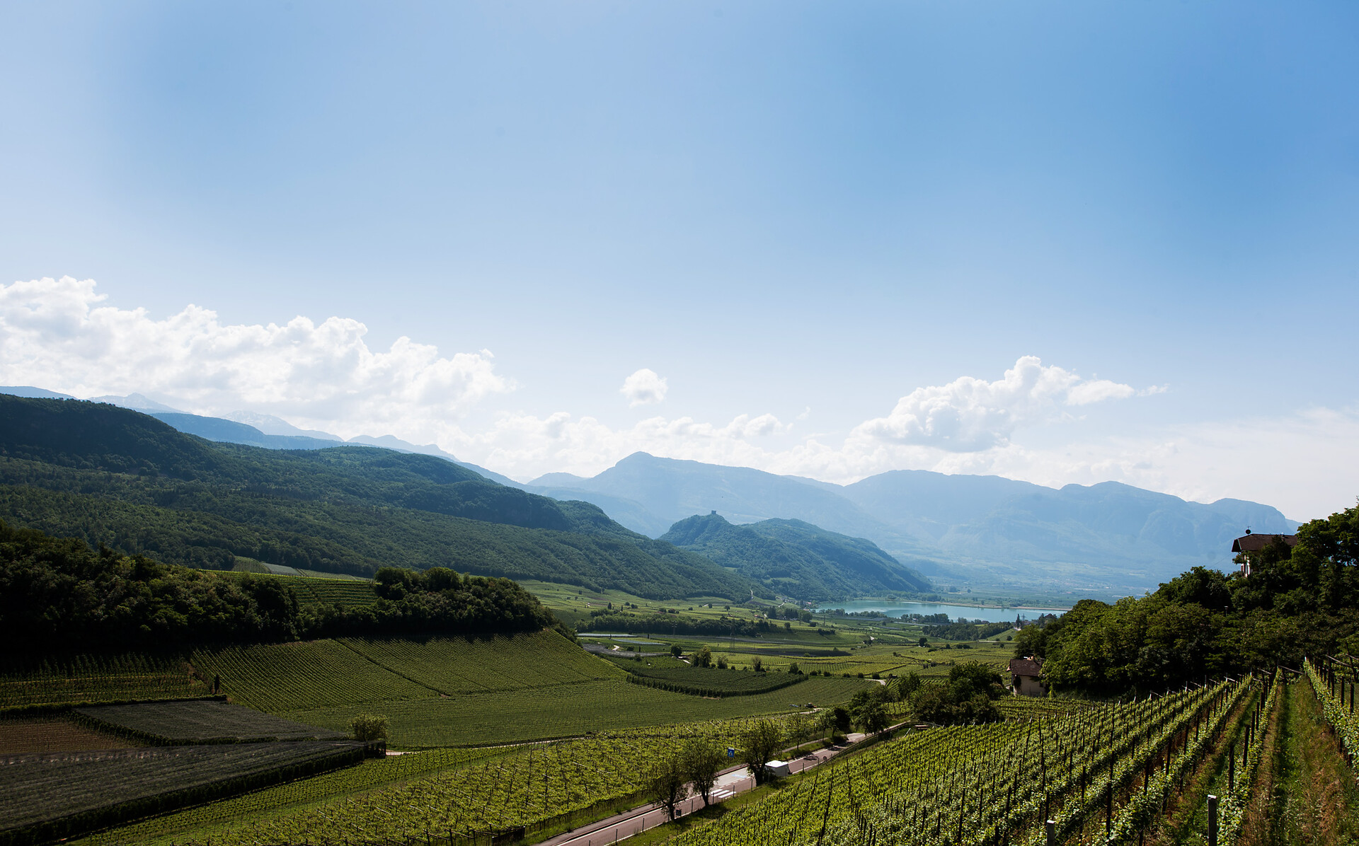 Windegg_Kaltern/Caldaro