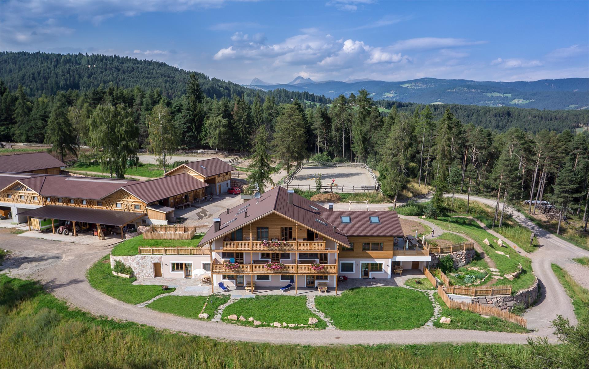 Wietererhof San Genesio Atesino 1 suedtirol.info