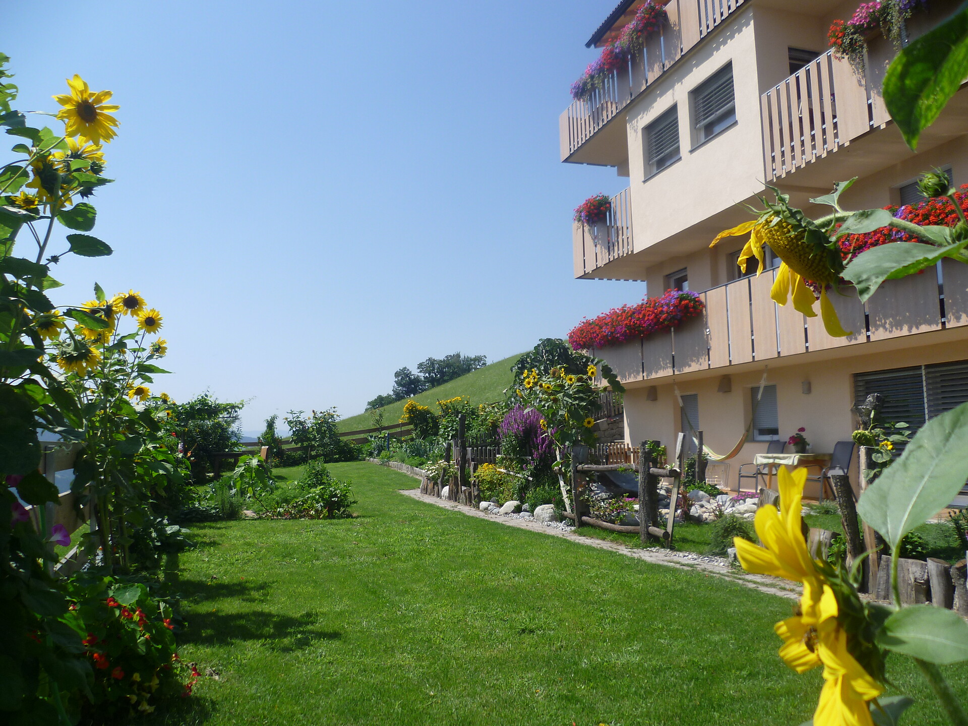 il giardino