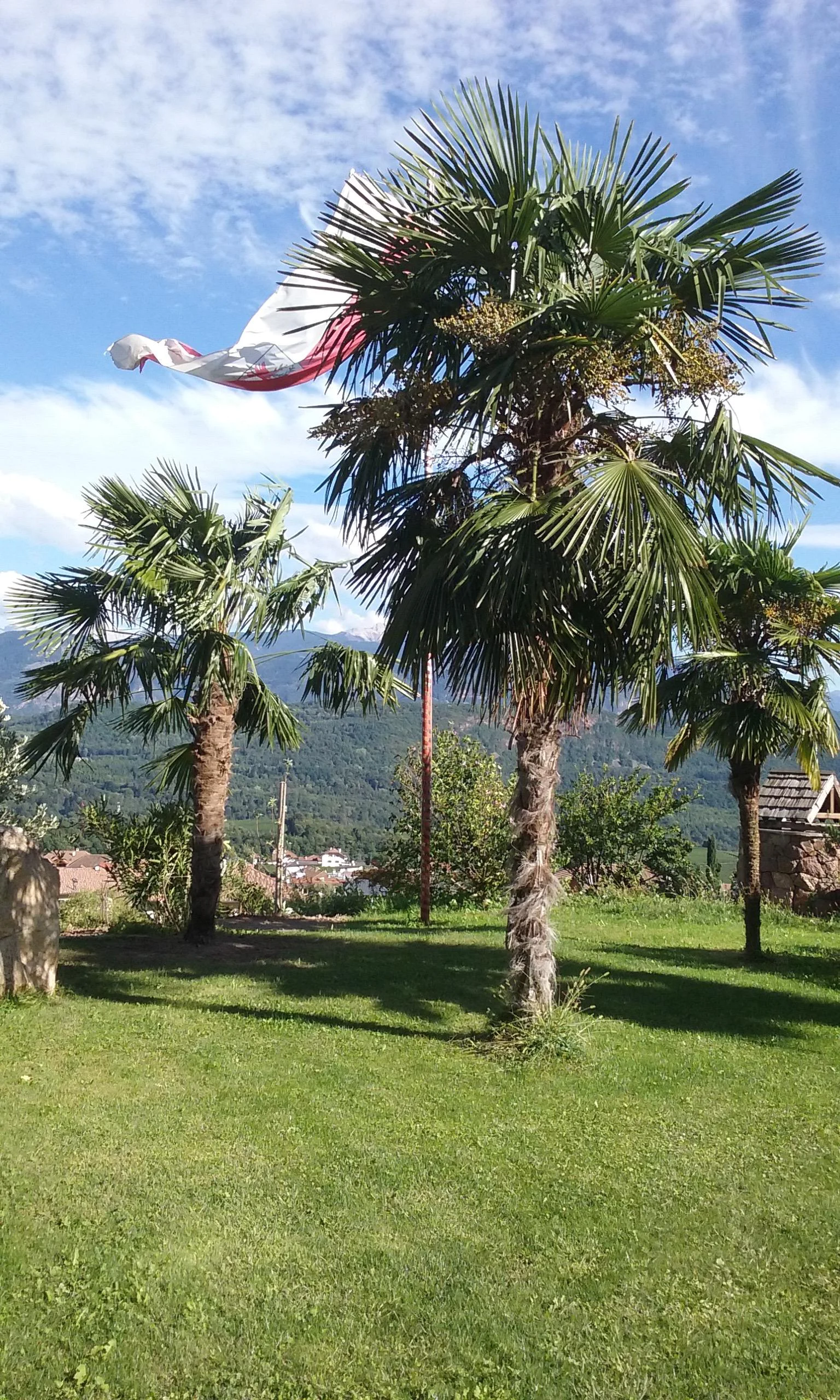 Wiesmüllerhof Kaltern an der Weinstraße/Caldaro sulla Strada del Vino 6 suedtirol.info