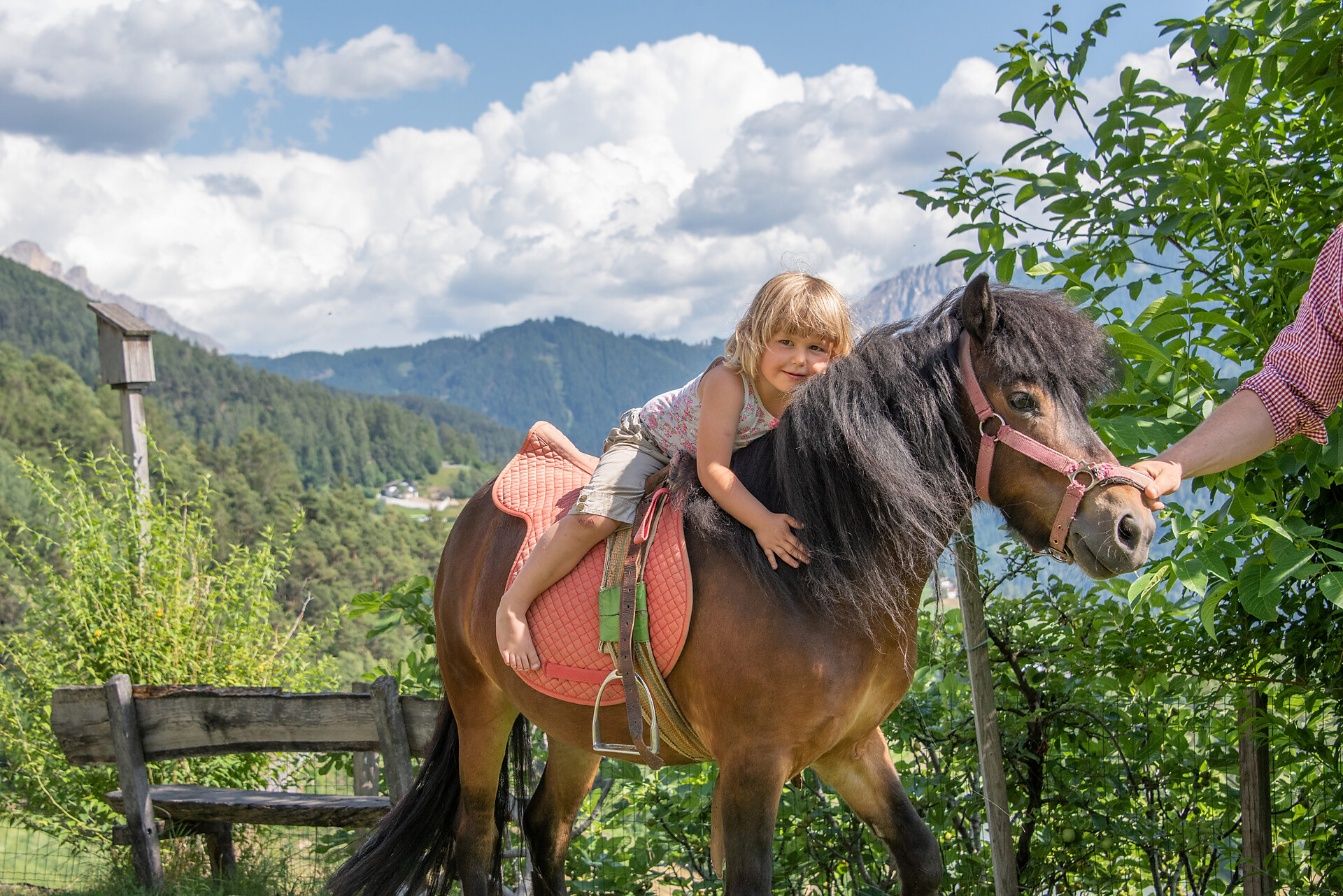cavalcare al pony