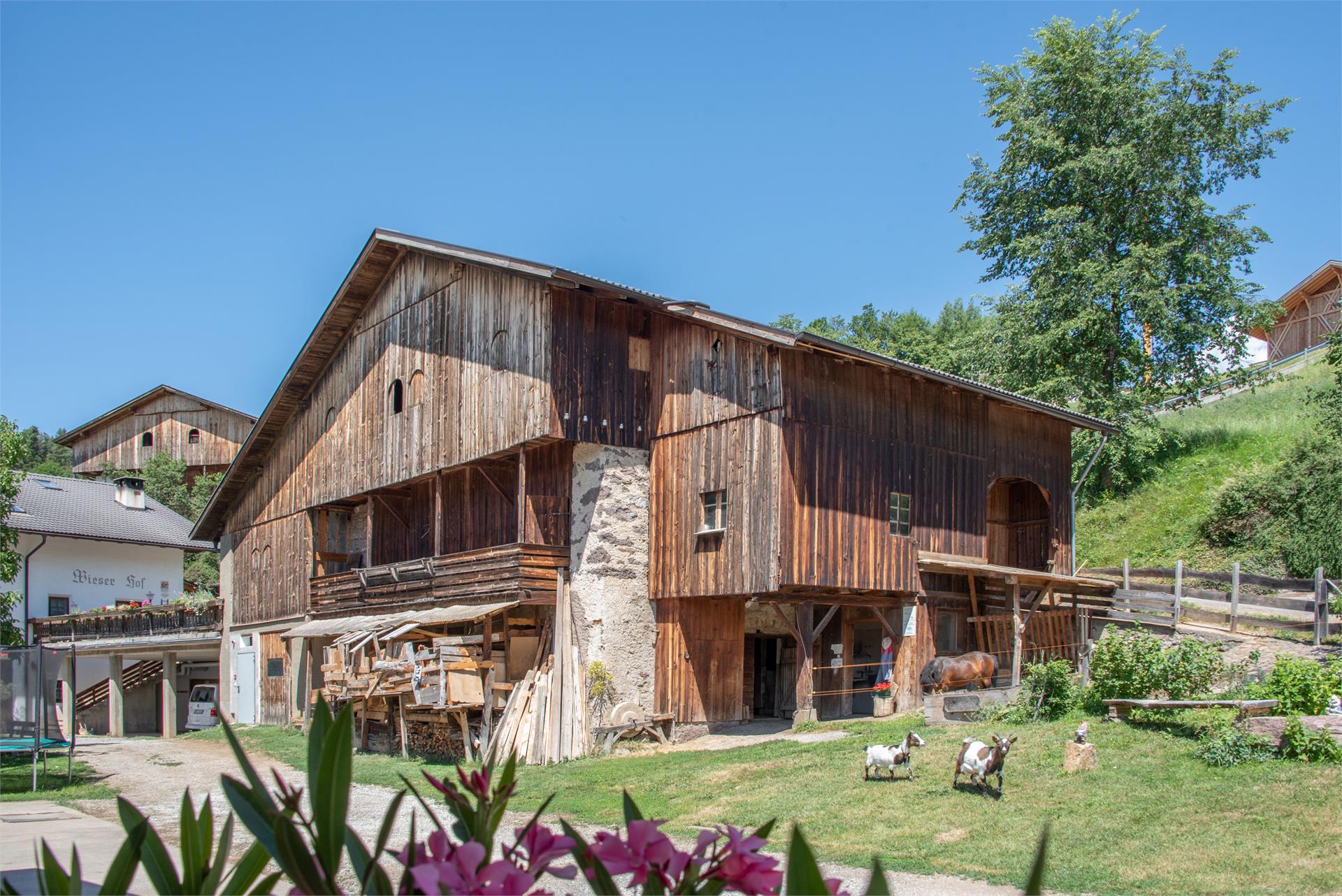 Maso Wieserhof Völs am Schlern/Fiè allo Sciliar 18 suedtirol.info