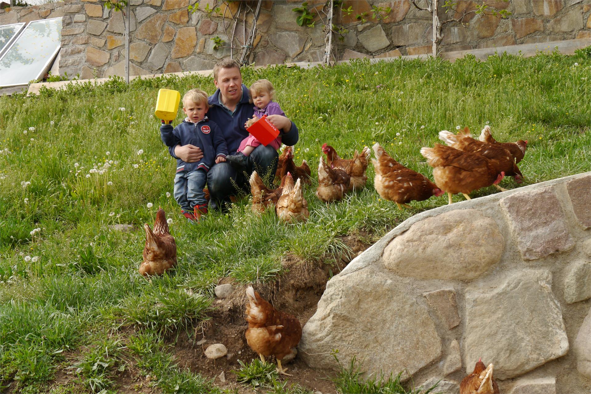 Maso Wieserhof Völs am Schlern/Fiè allo Sciliar 20 suedtirol.info