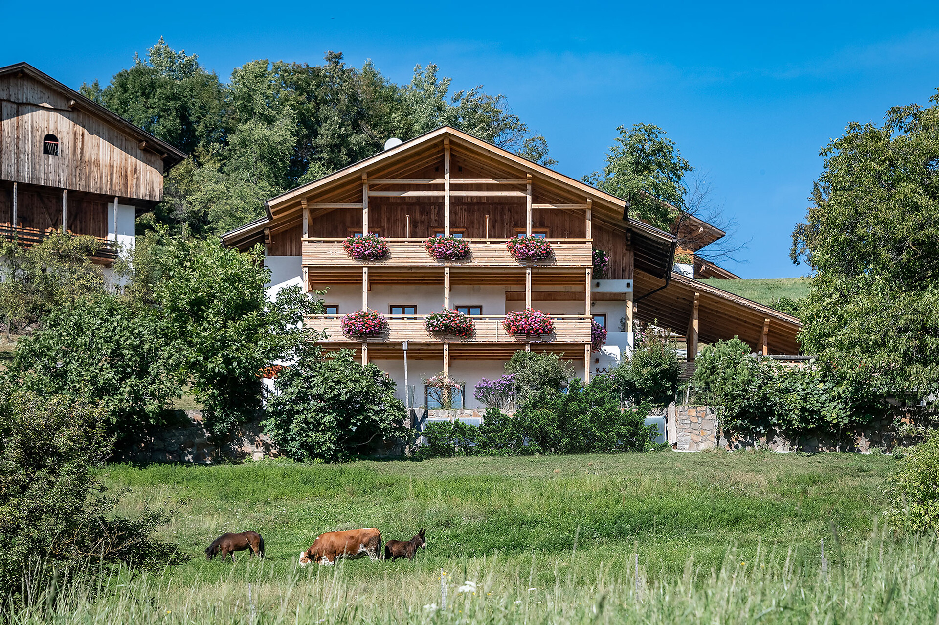 Maso Wieserhof
