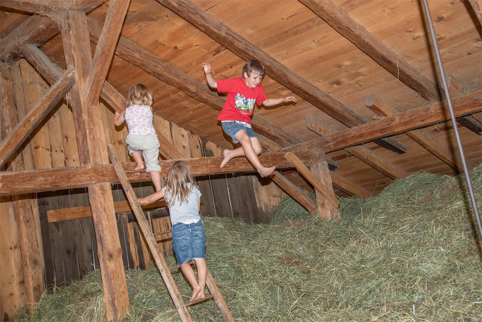 Maso Wieserhof Völs am Schlern/Fiè allo Sciliar 26 suedtirol.info