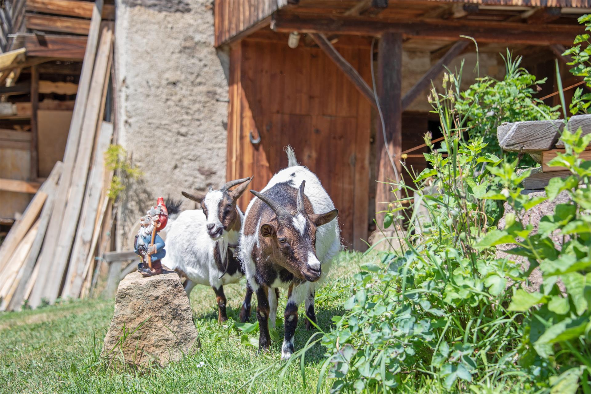 Maso Wieserhof Völs am Schlern/Fiè allo Sciliar 22 suedtirol.info