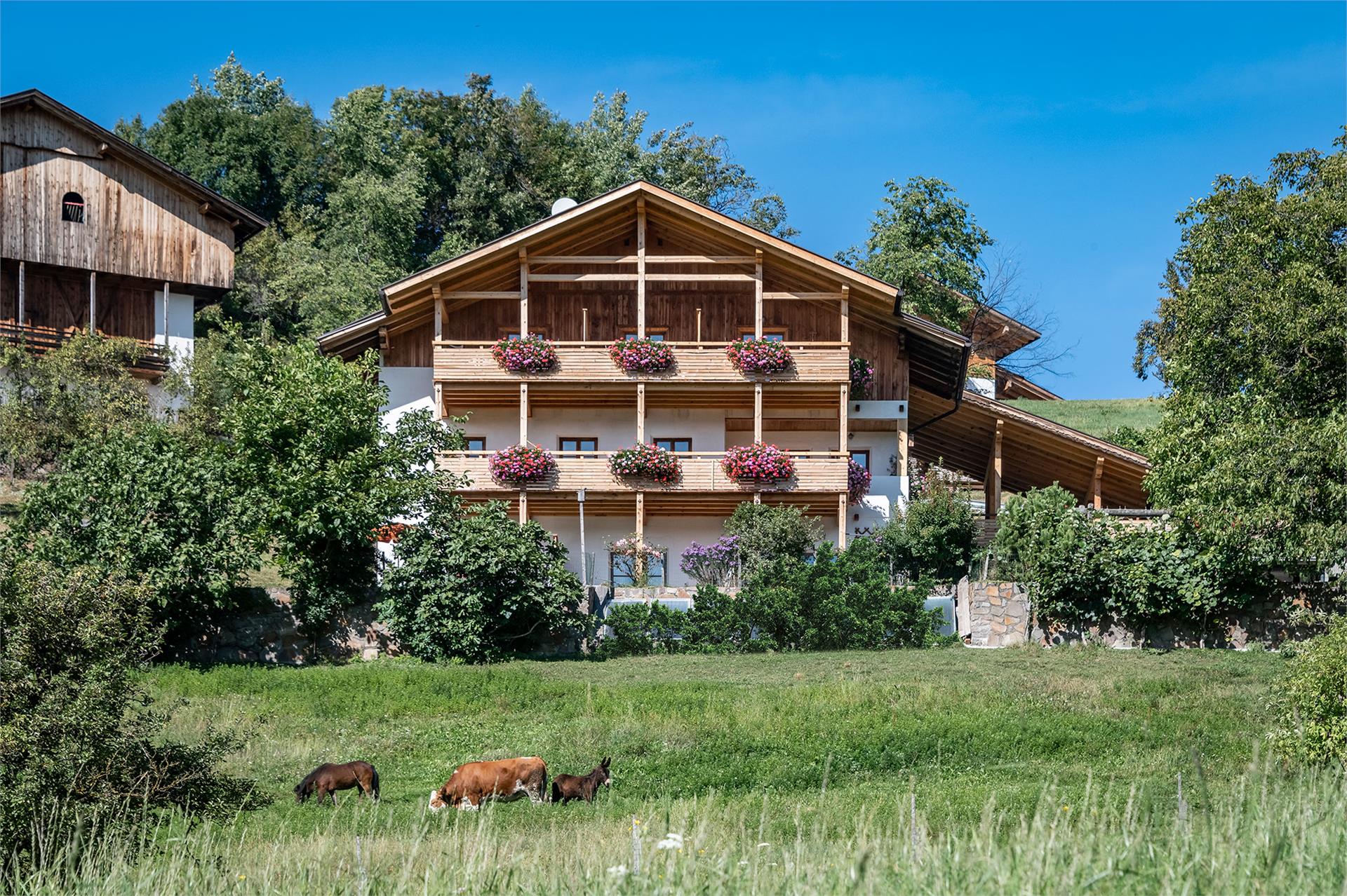 Maso Wieserhof Völs am Schlern/Fiè allo Sciliar 3 suedtirol.info