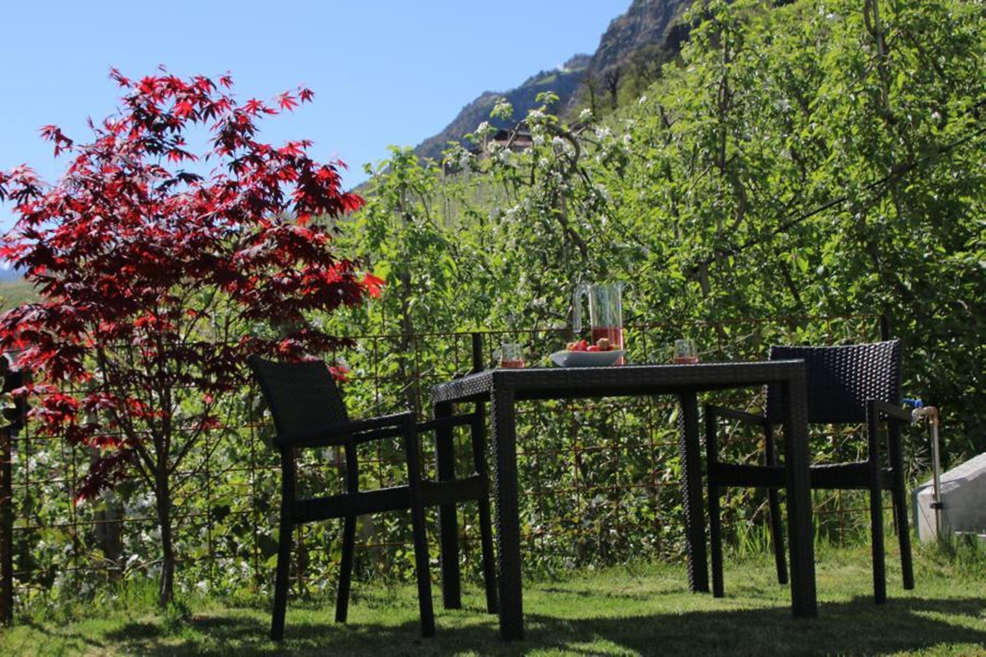 Sunny terrace before the appartement