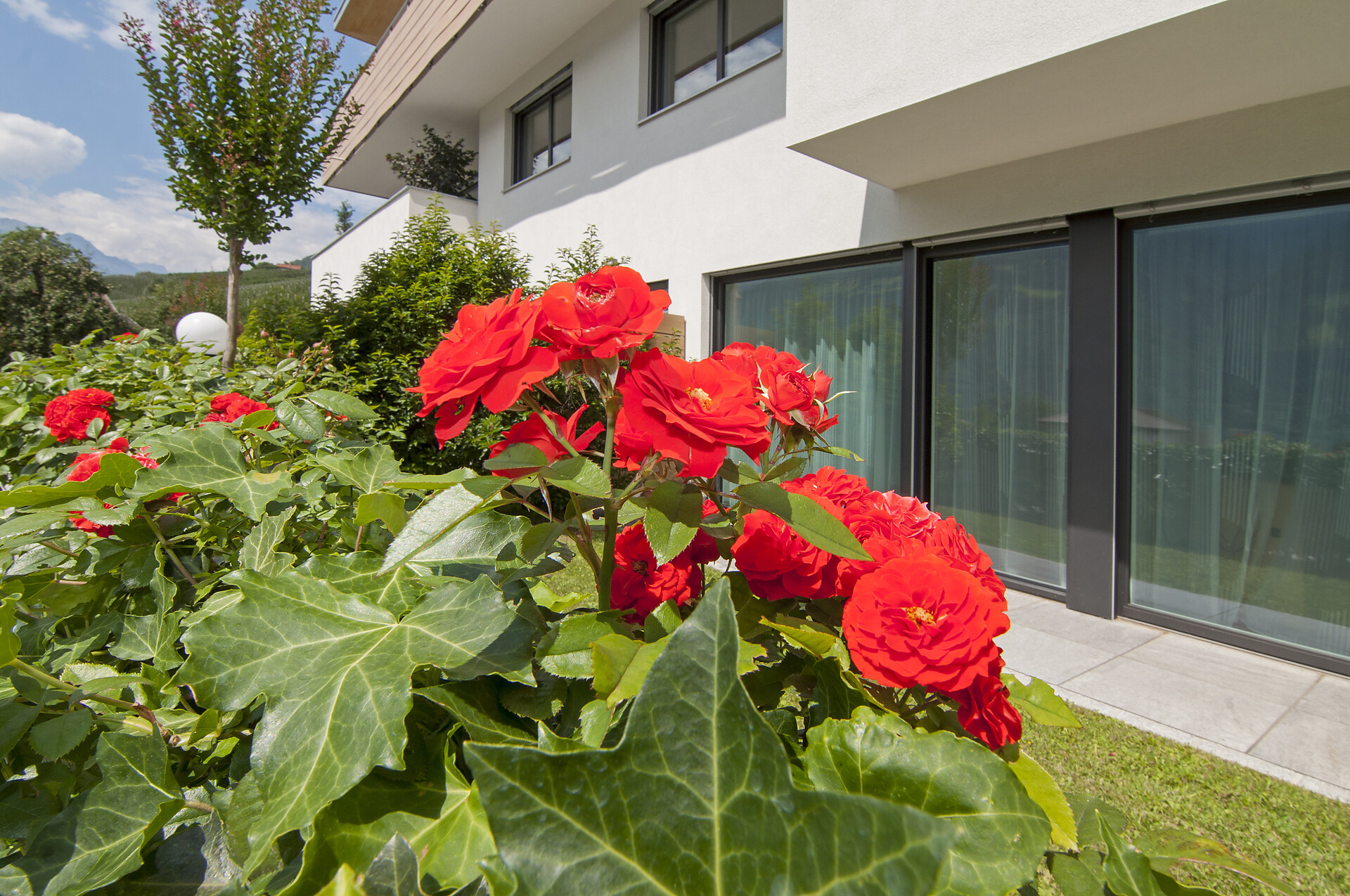 Garden outside the appartement