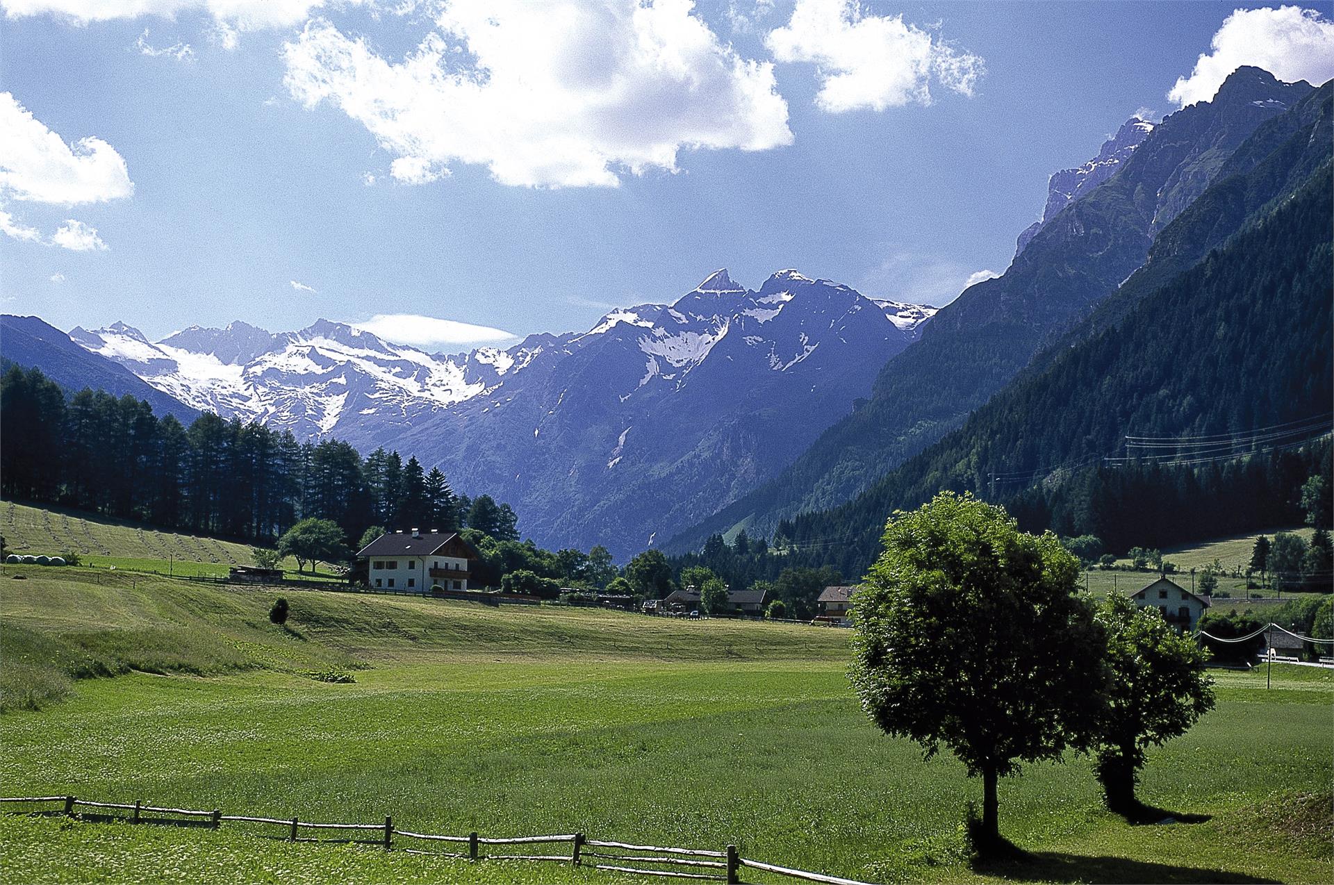 Wolfenhof Brenner 2 suedtirol.info