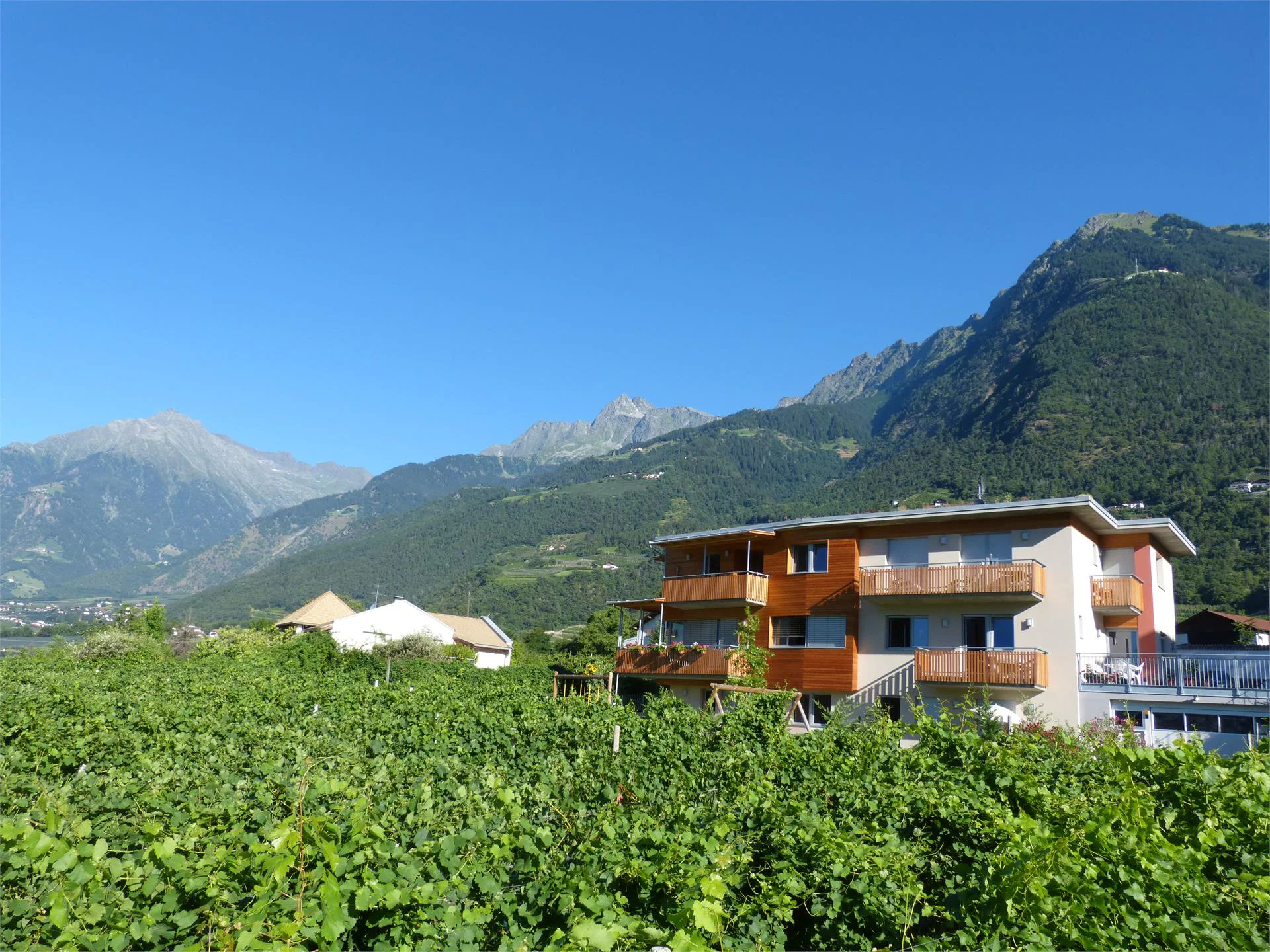 Weinmesserhof Merano 1 suedtirol.info
