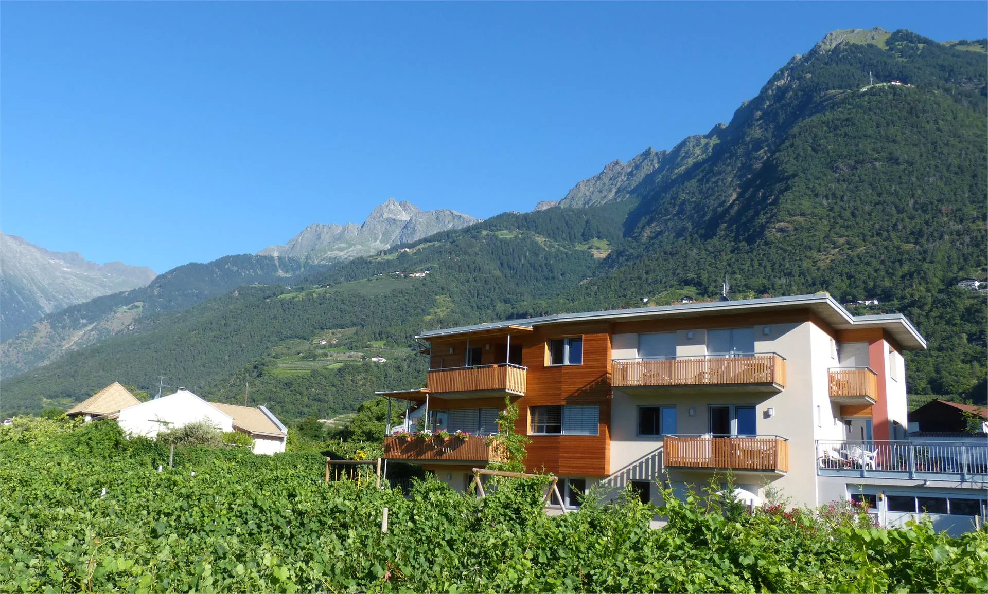 Weinmesserhof Merano 13 suedtirol.info