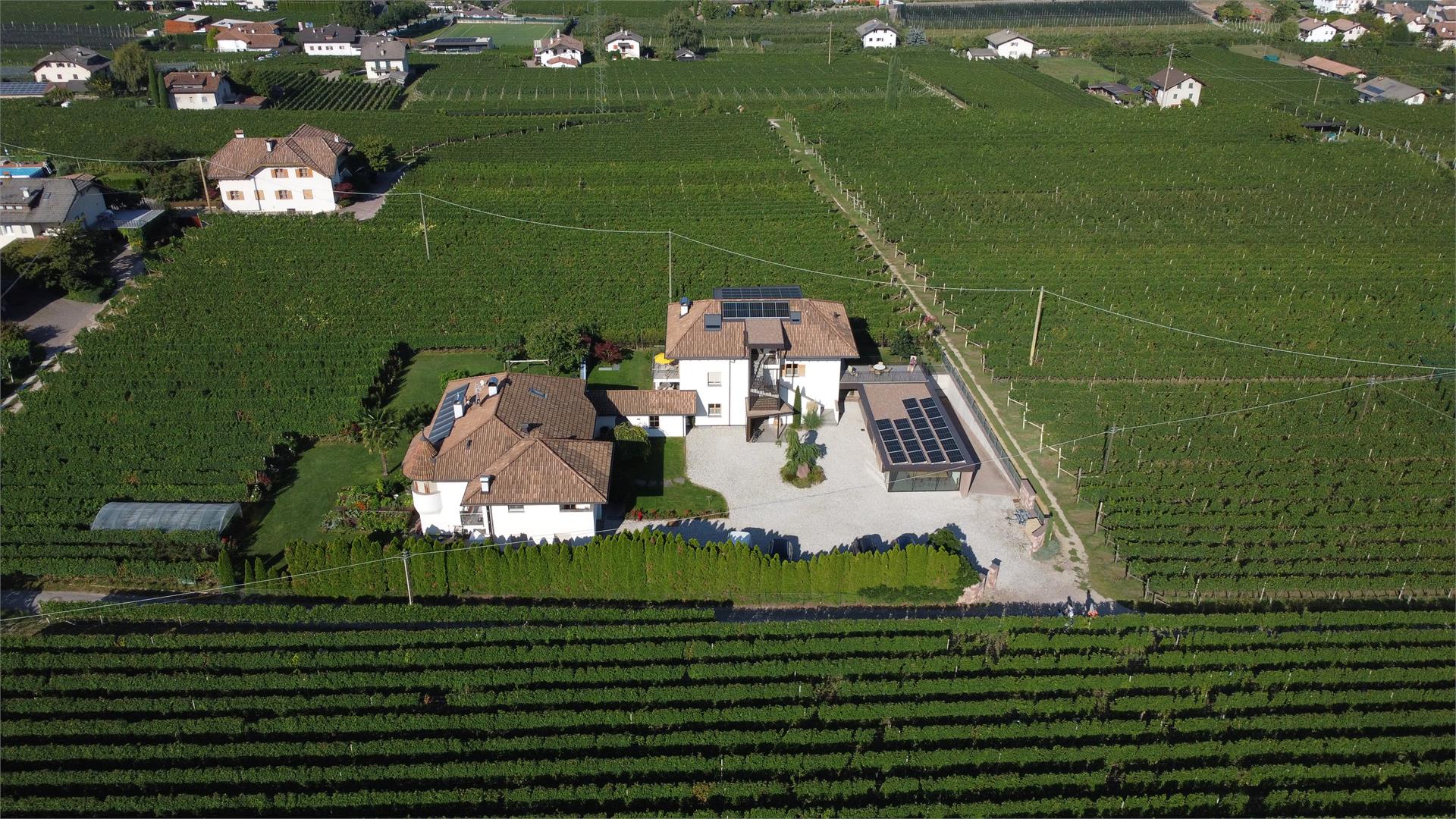 Weingut Sonnenhof Eppan an der Weinstaße/Appiano sulla Strada del Vino 4 suedtirol.info