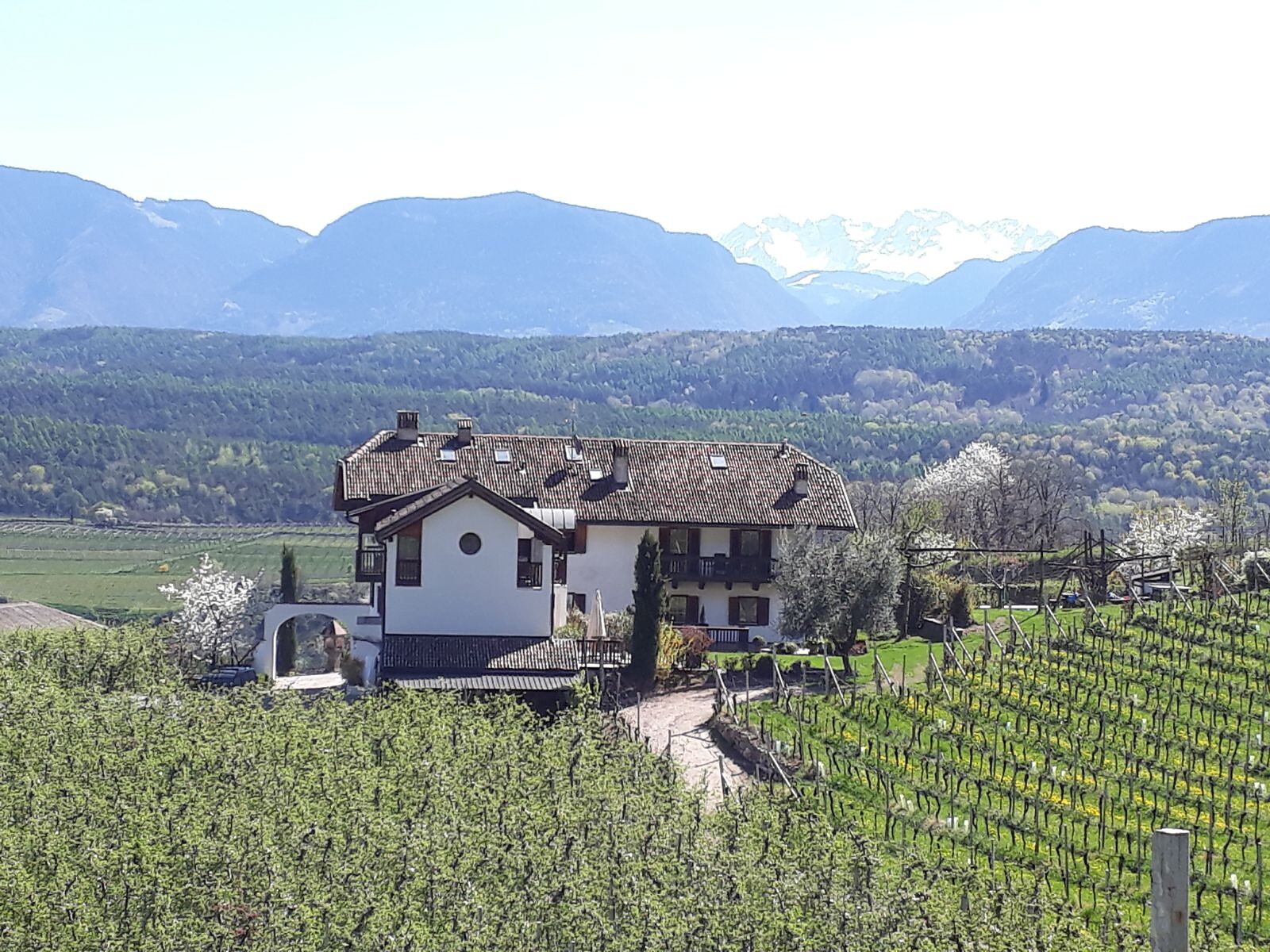 Weidlhof Lodge &amp;amp; Breakfast
