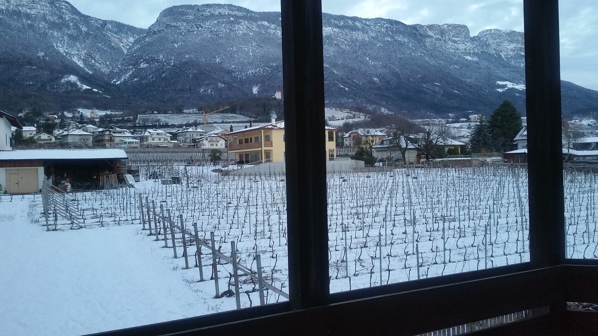 view premium winter