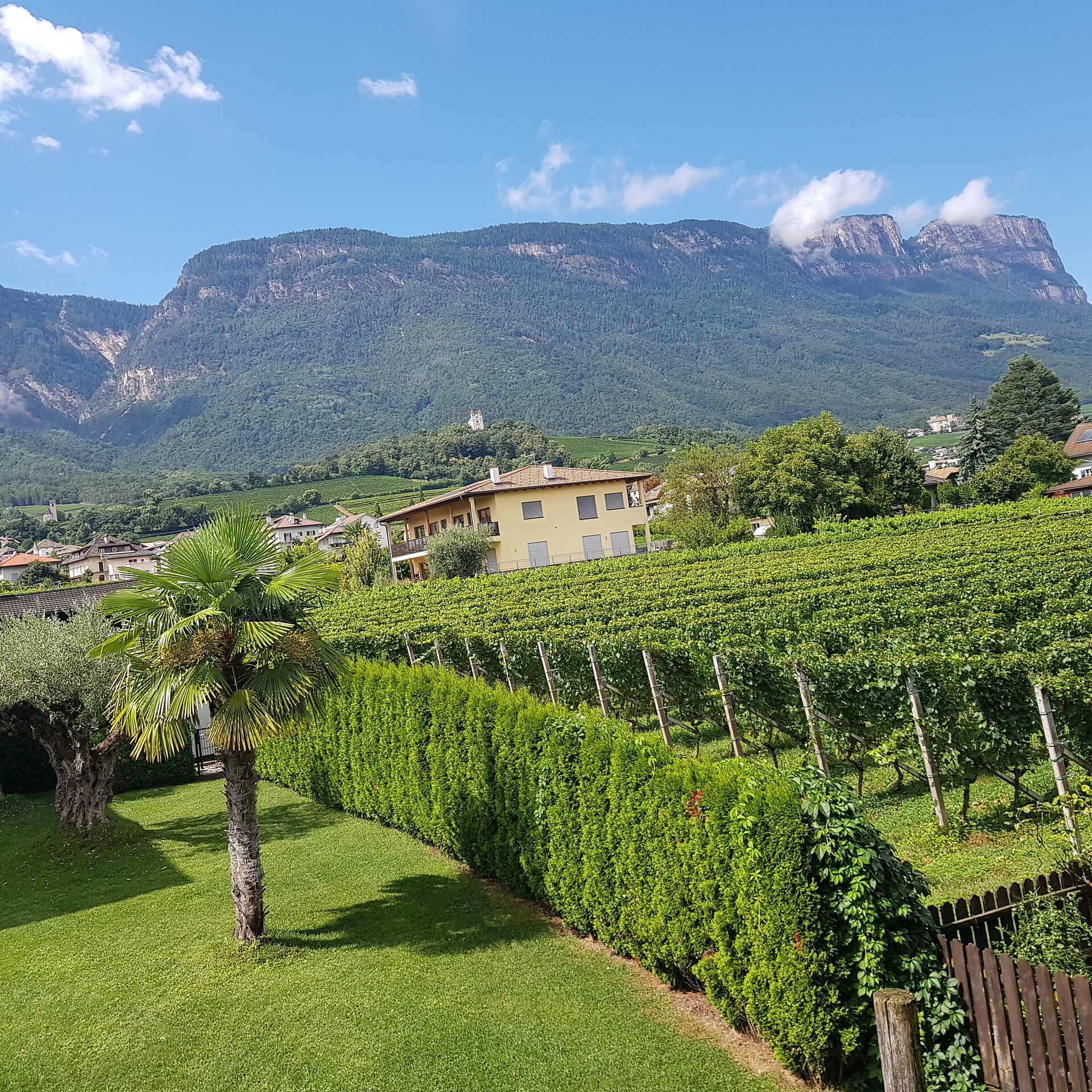 view from the apartement