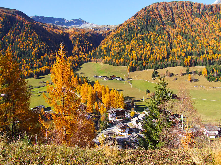 panorama