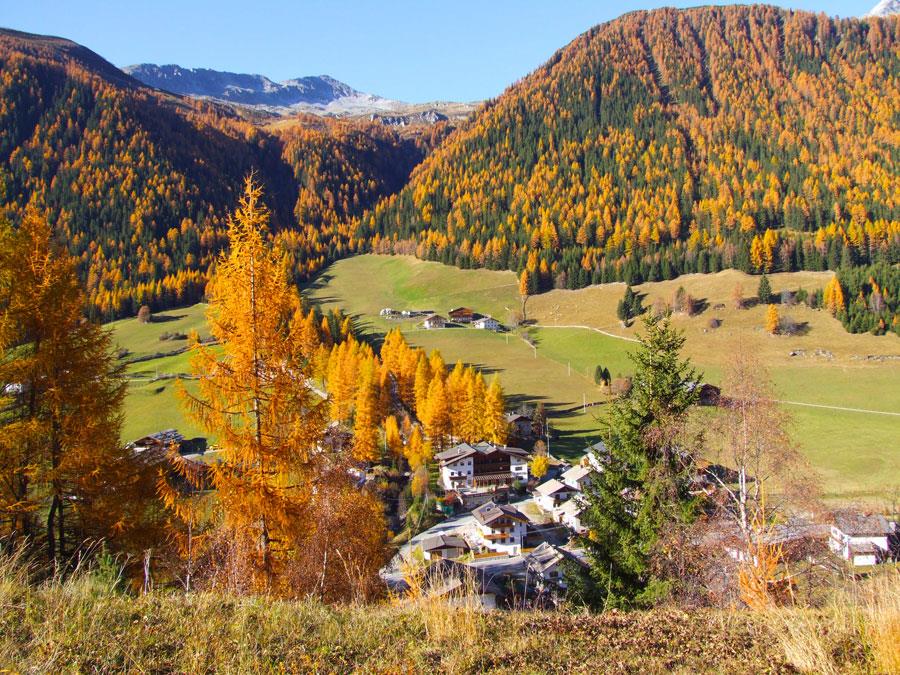 Weiherhof Gasthof Hotel Prettau 2 suedtirol.info